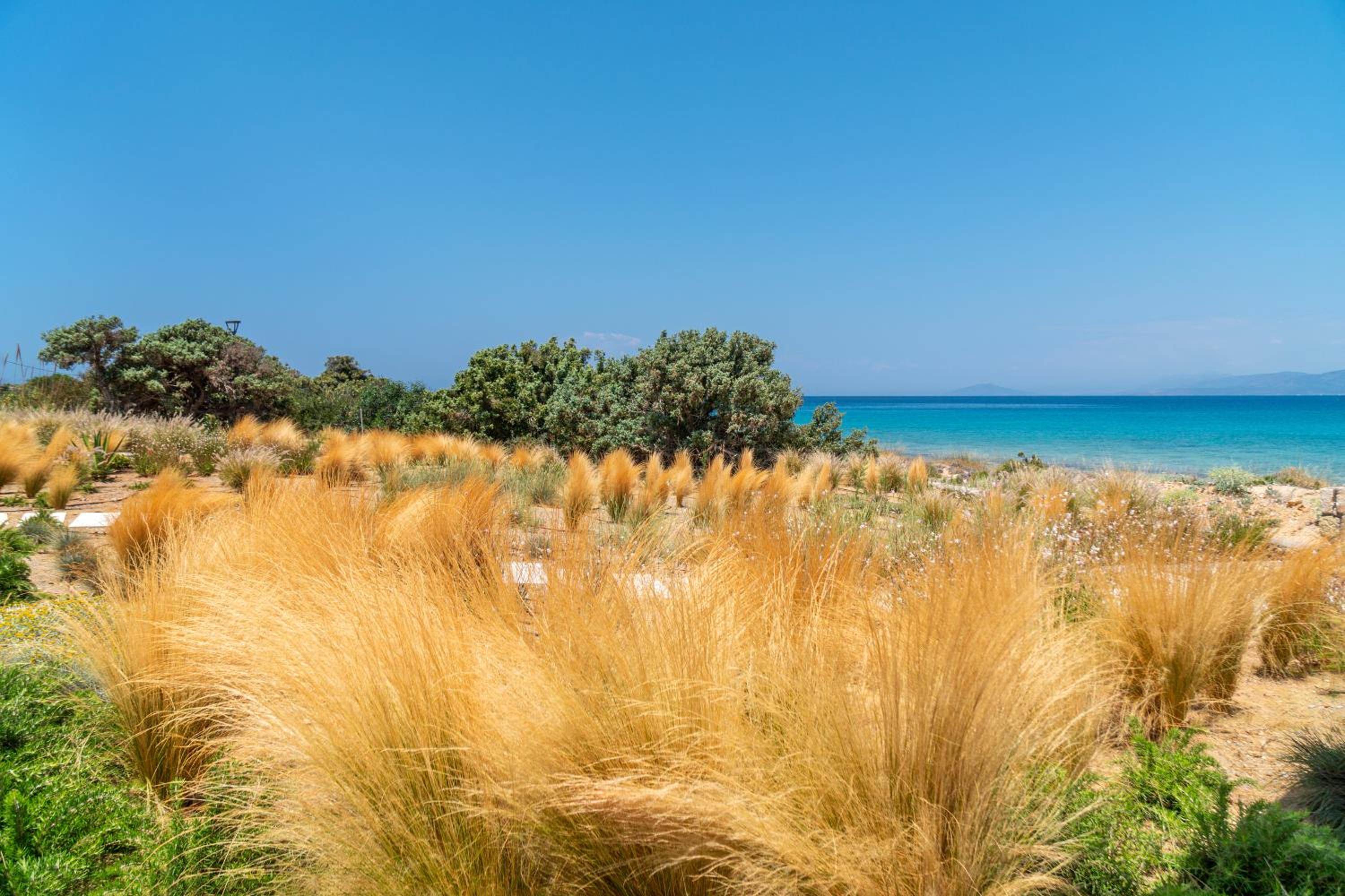 Villa Dune