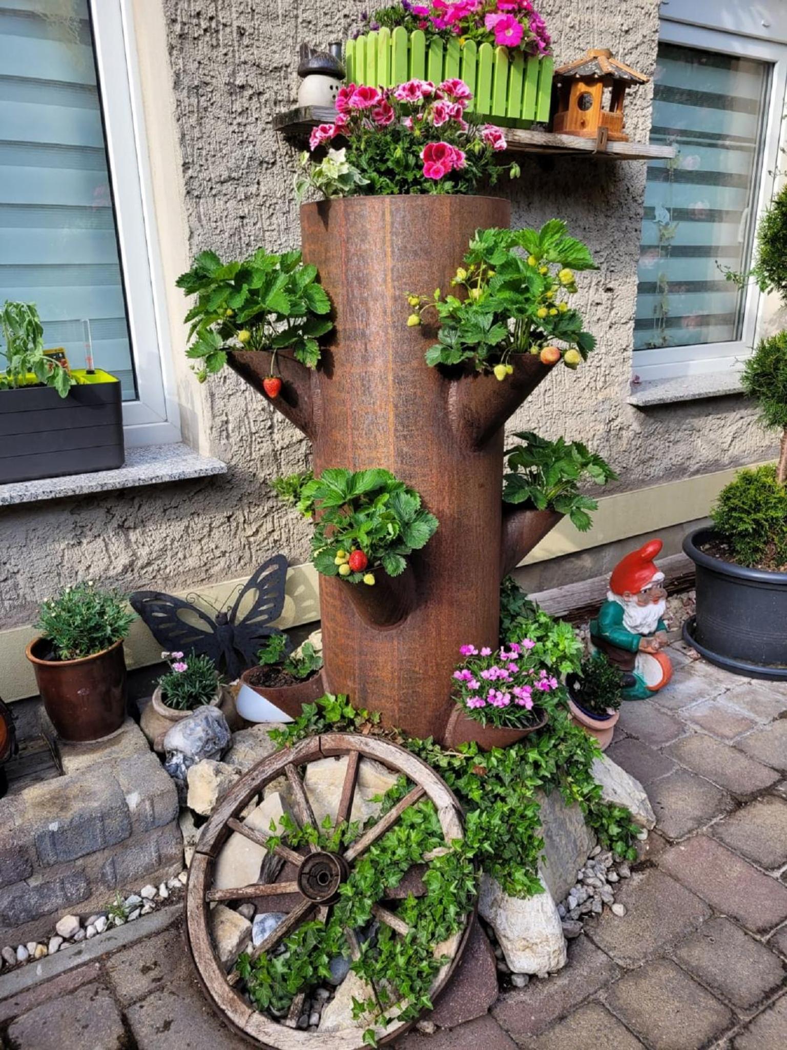 Ferienwohnung Domblick