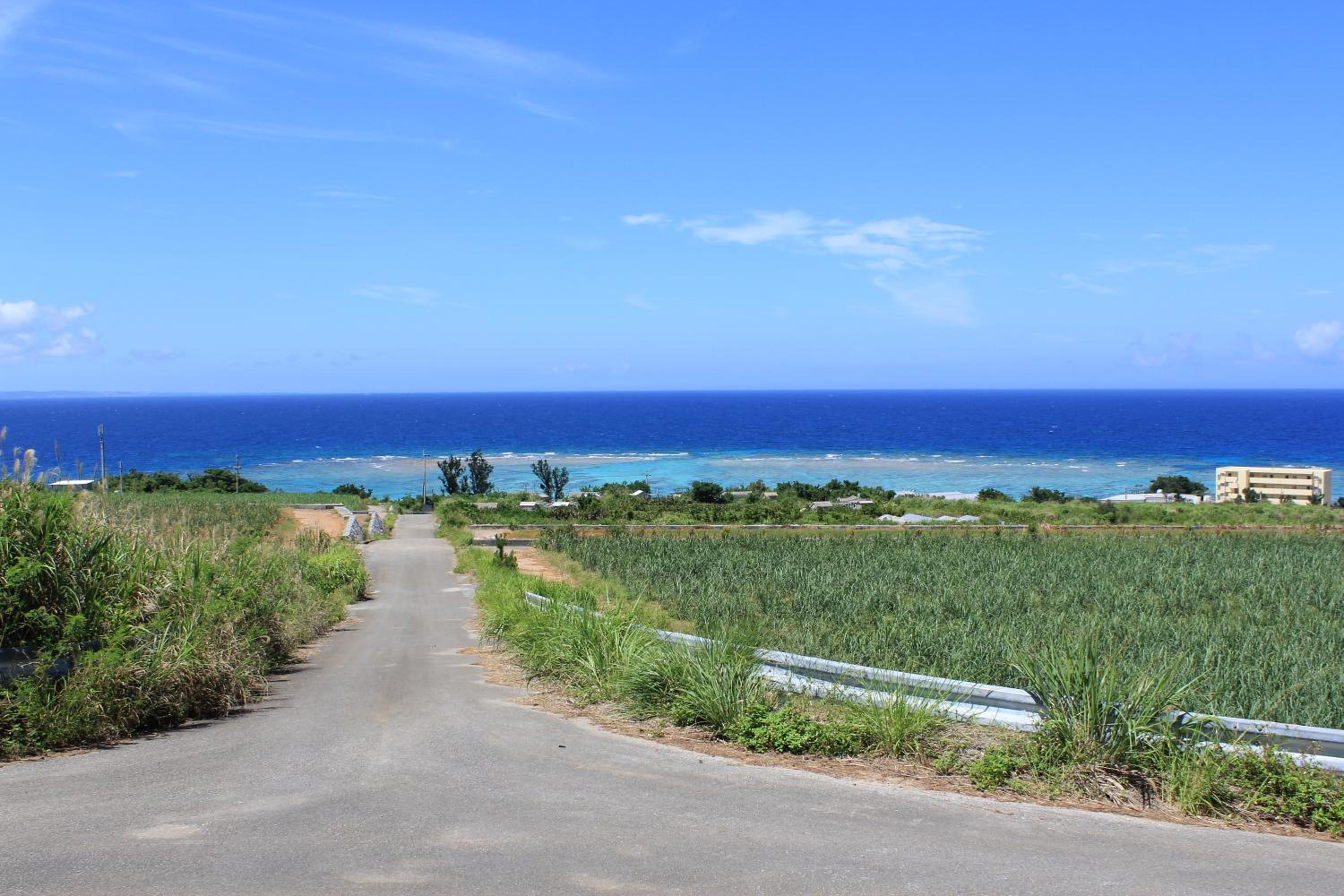 PANORAMA Ocean View Cottage