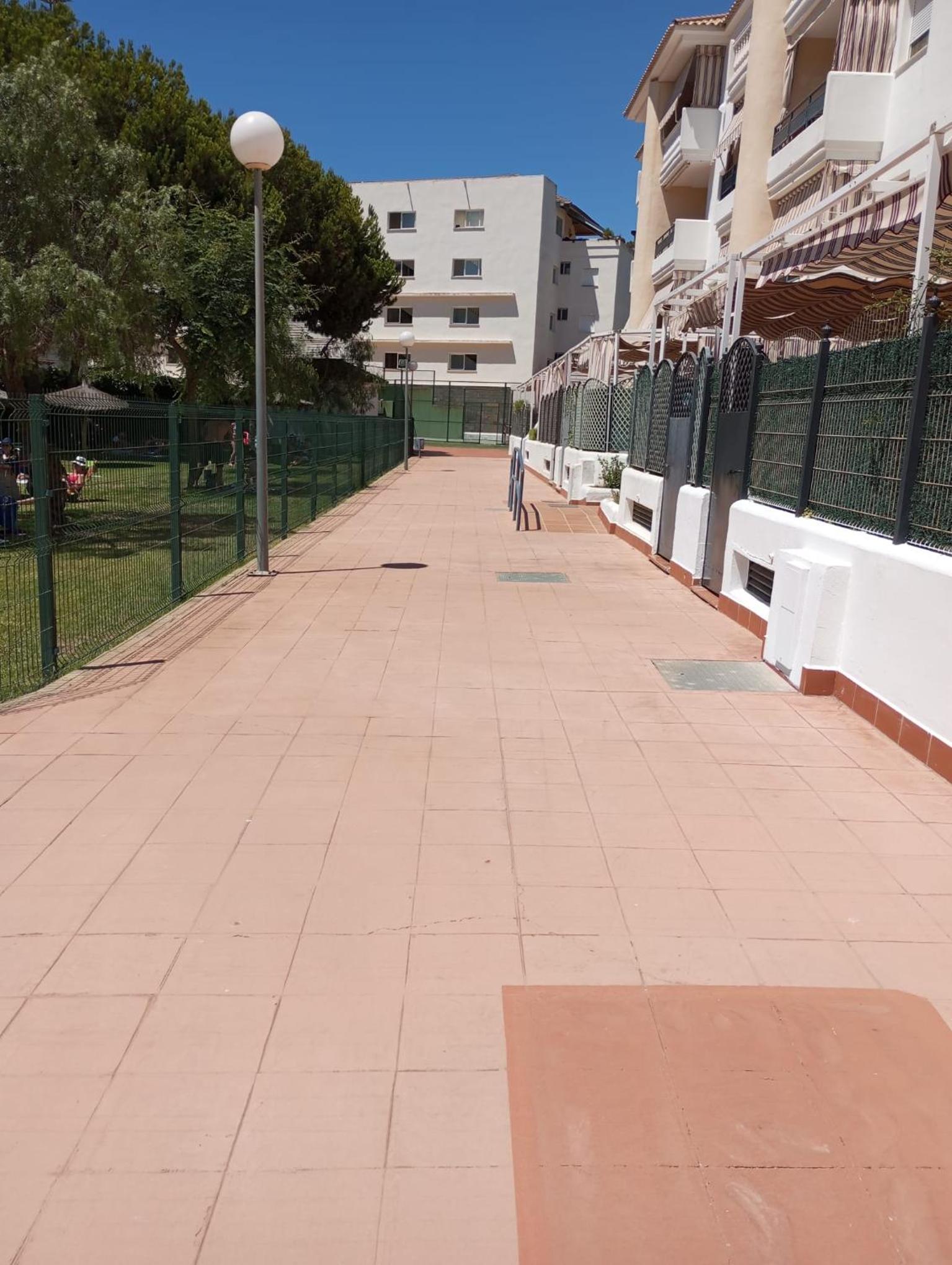 Cigüeñas