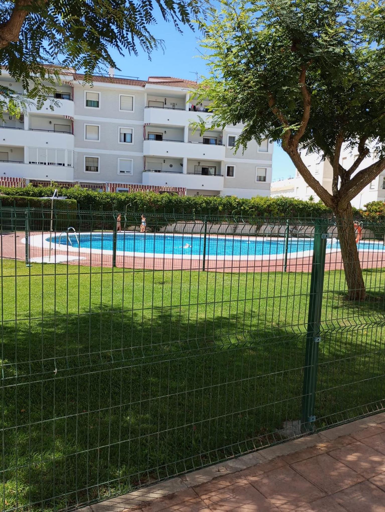 Cigüeñas