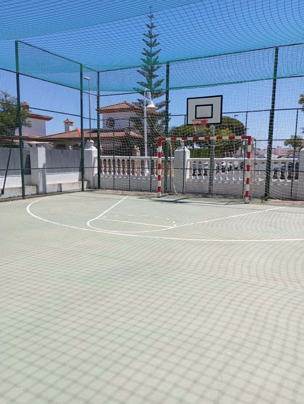 Cigüeñas
