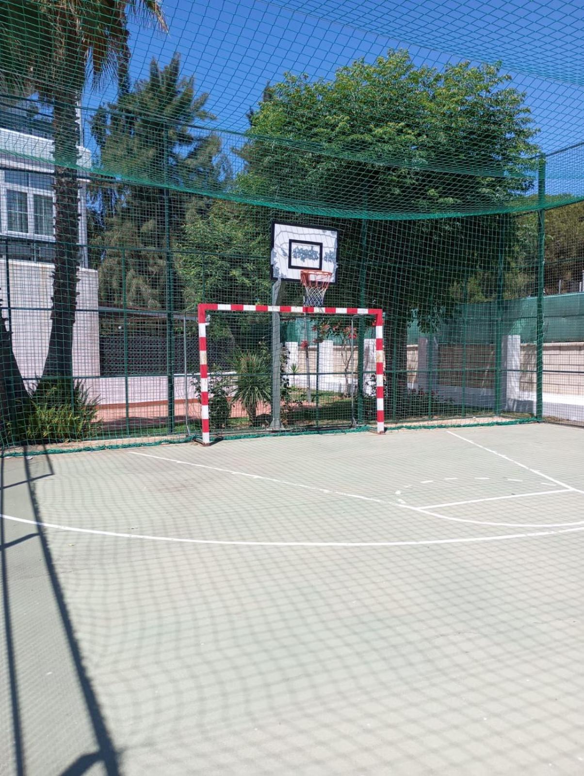 Cigüeñas