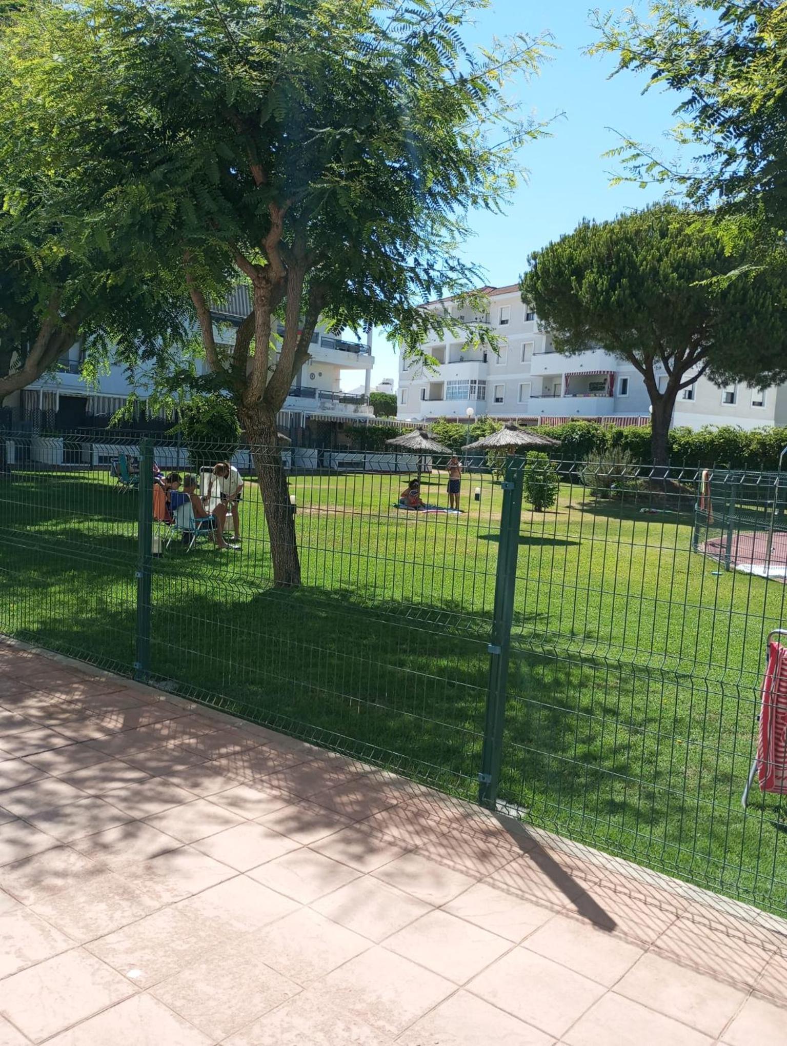 Cigüeñas