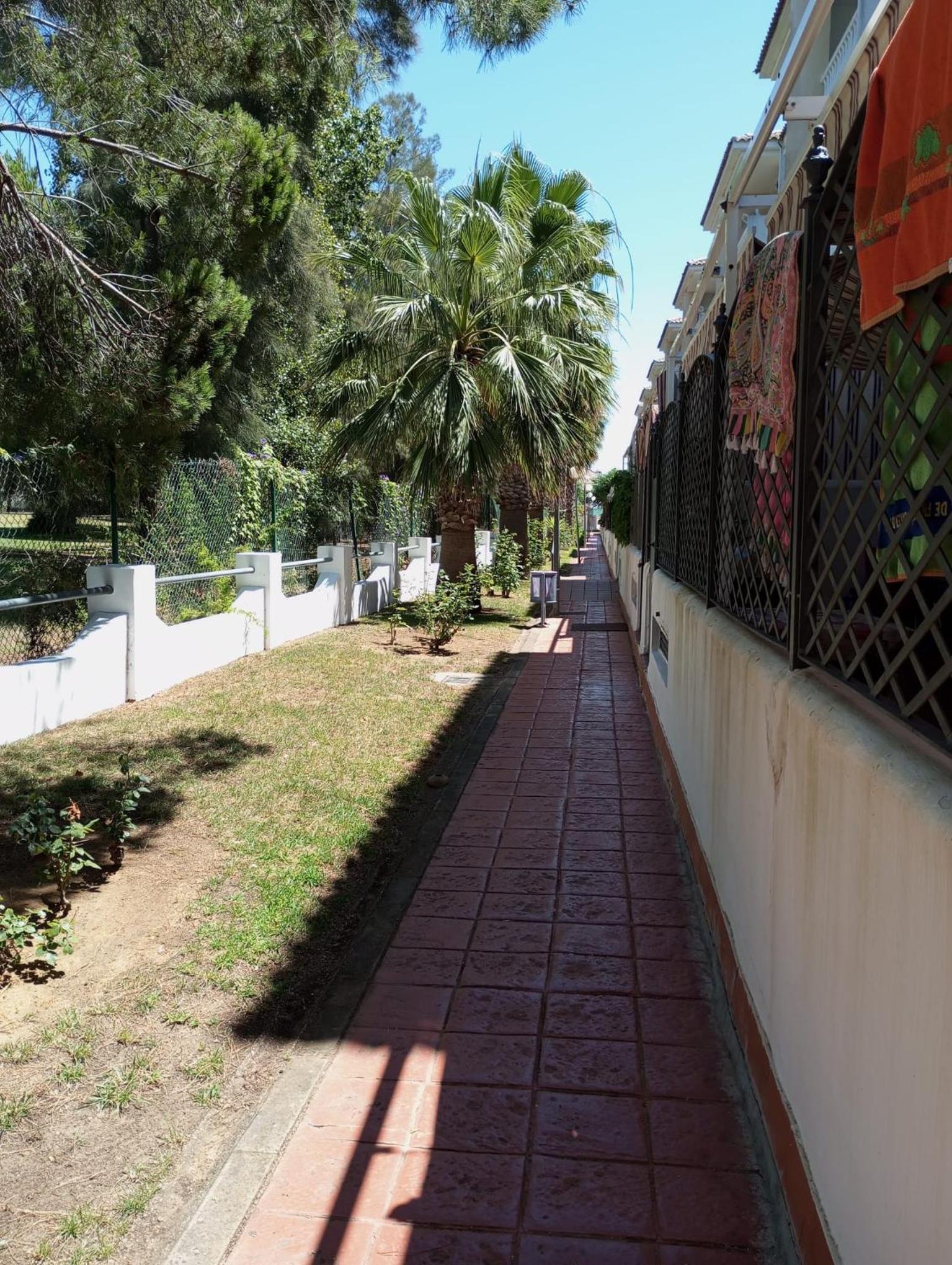 Cigüeñas