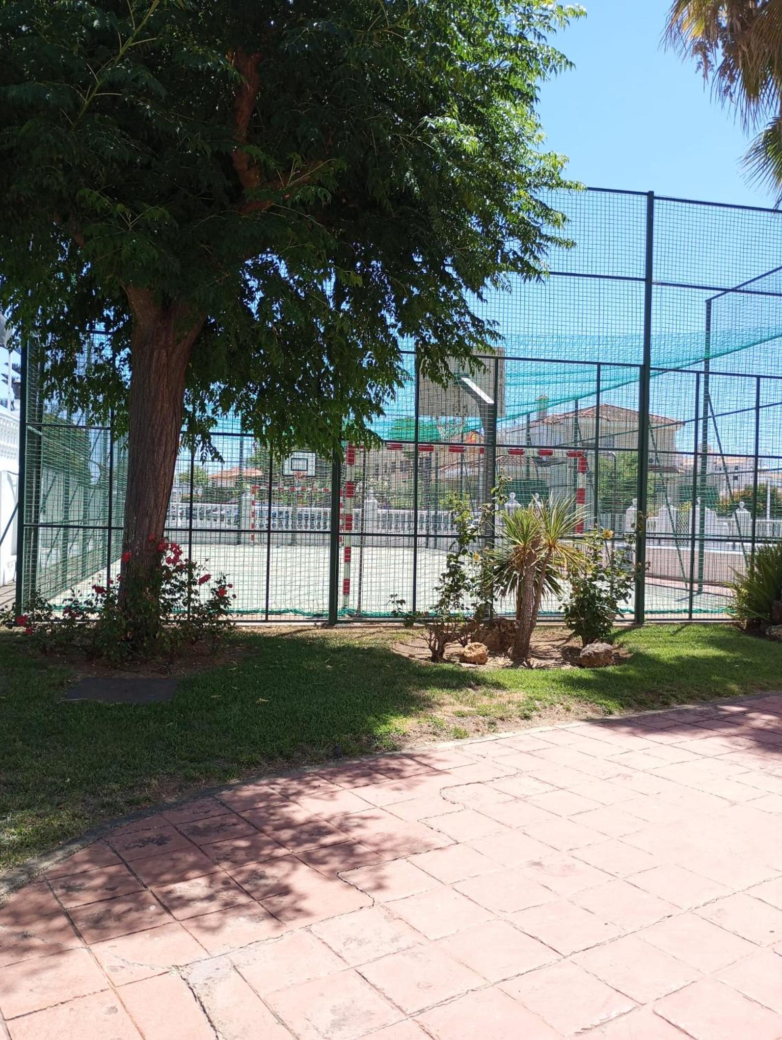 Cigüeñas