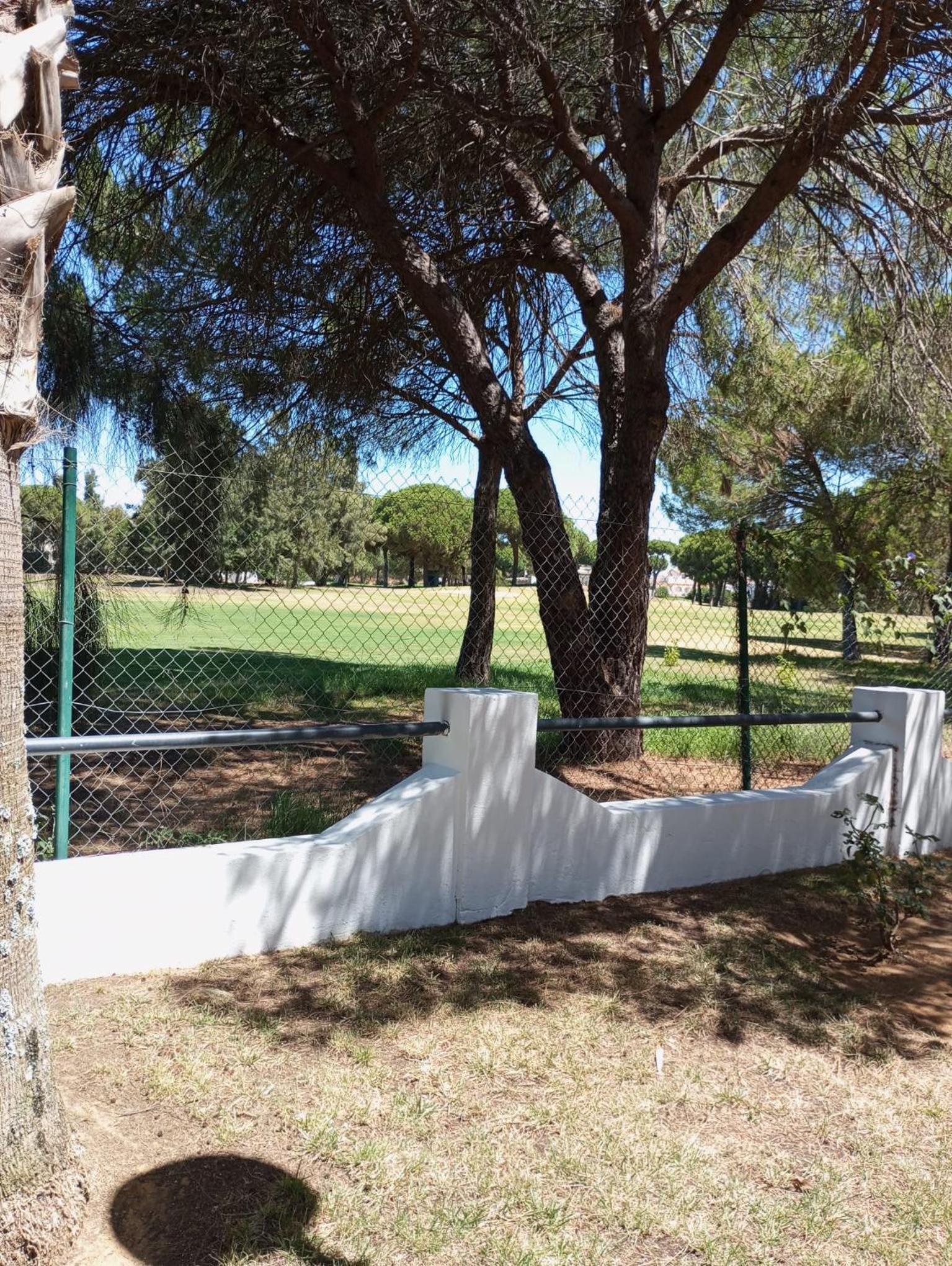 Cigüeñas