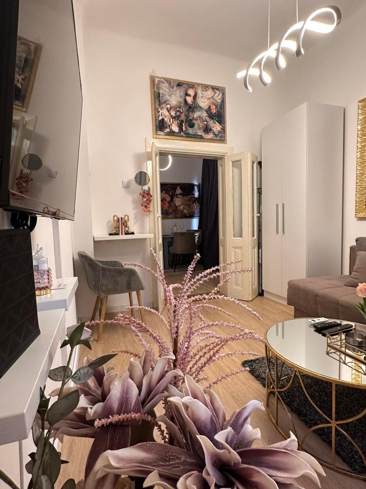 City Line Apartment Belgrade view 2