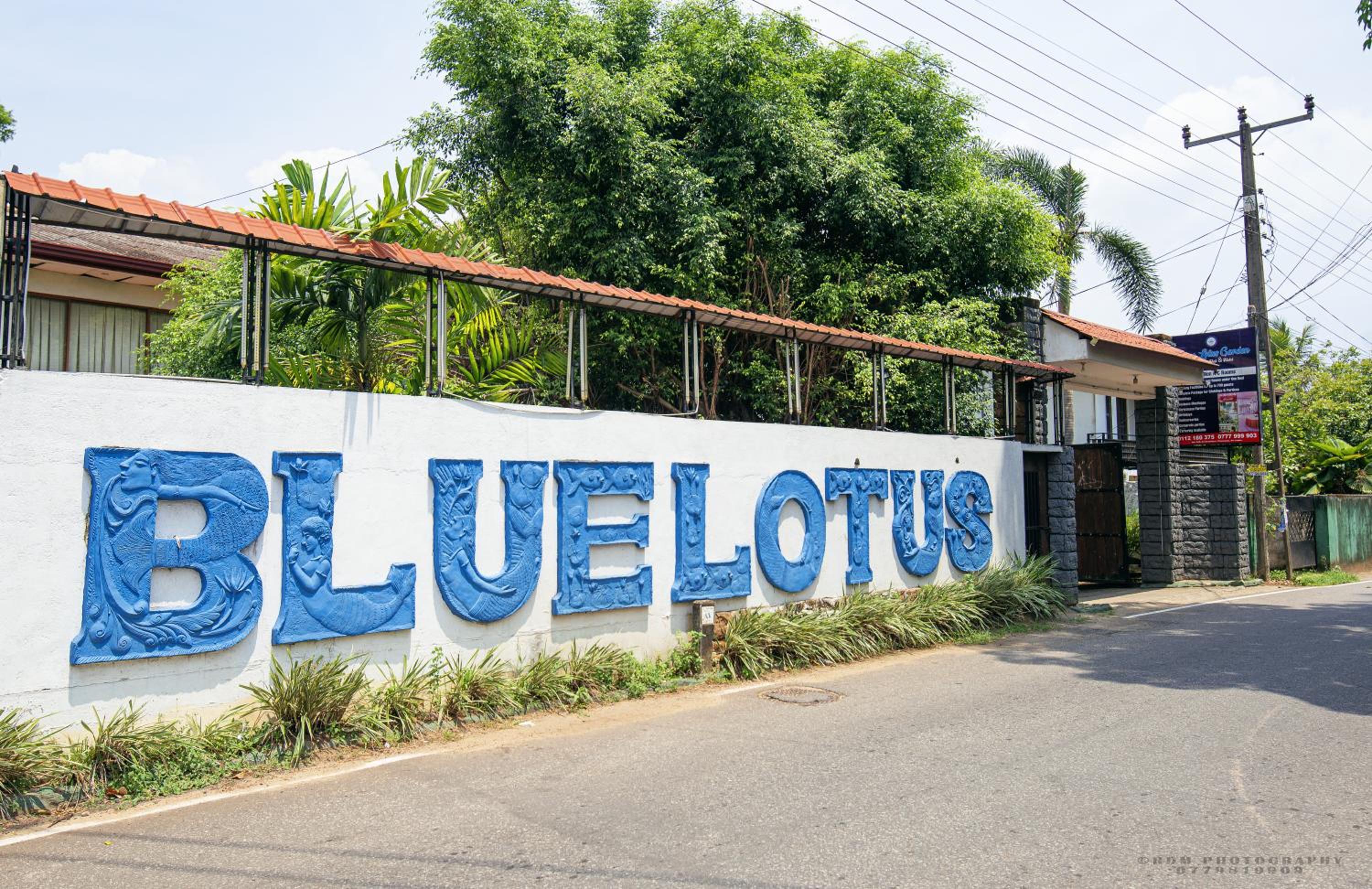 Blue Lotus Garden Hotel piliyandala view 3