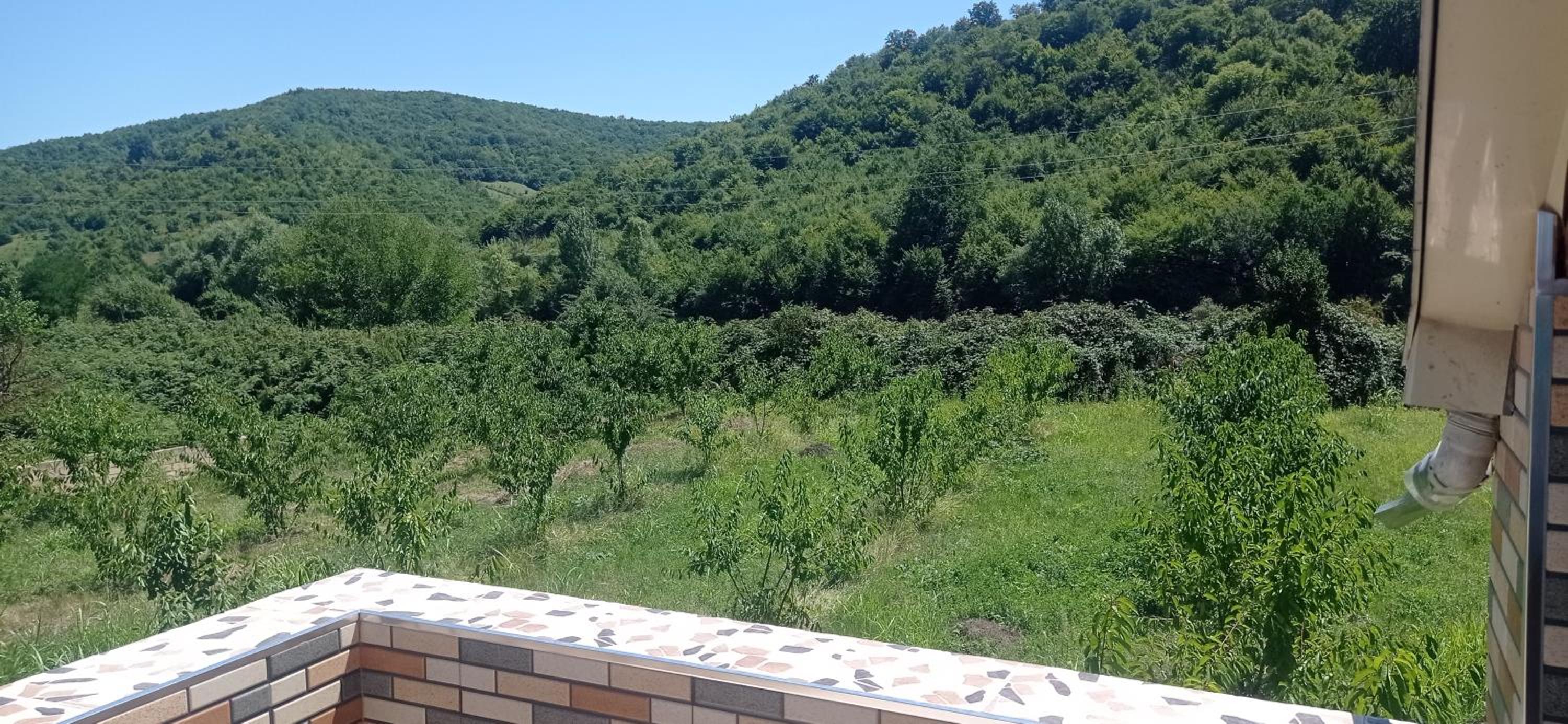 Guba House Near Forest & Lake