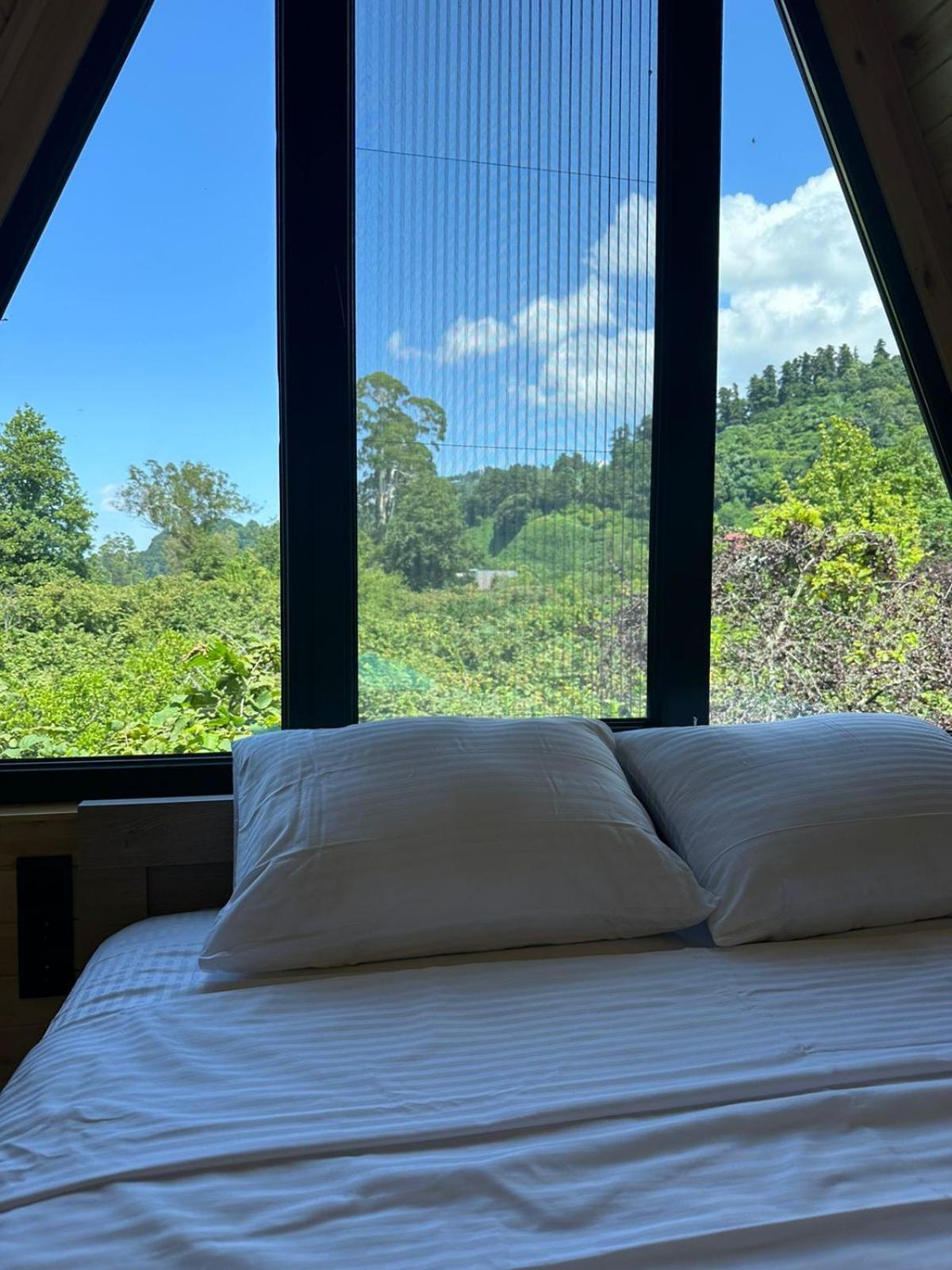 Cottage Lemons In Gonio view 4