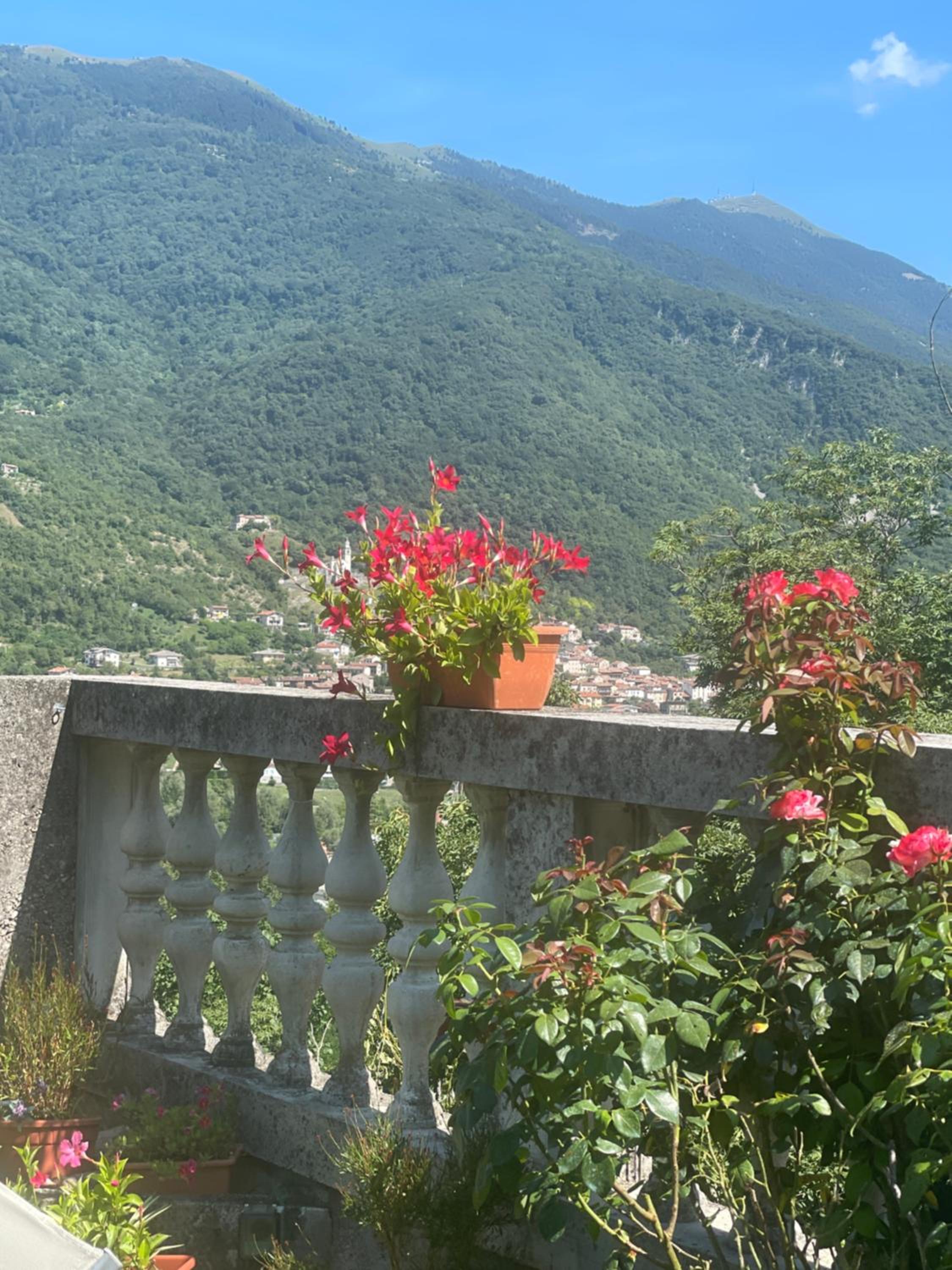 ALTRAVISTA TARZO