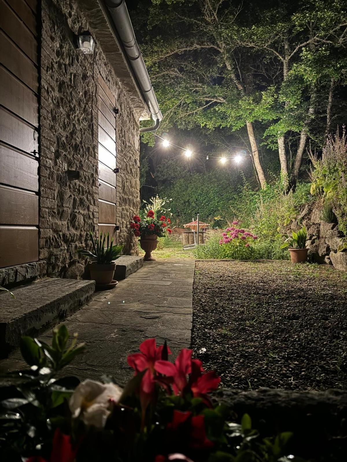 Photo 47