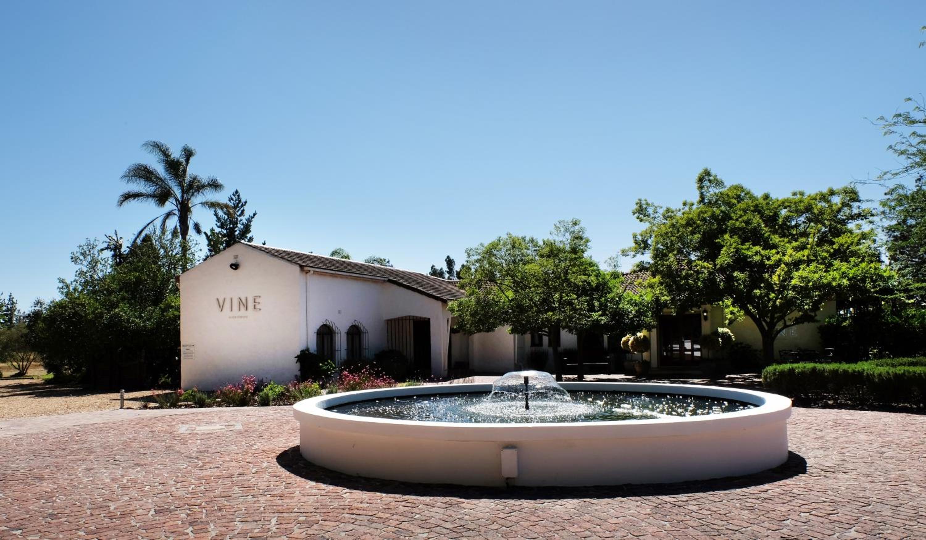 Hotel Vine Guesthouse - Stellenbosch