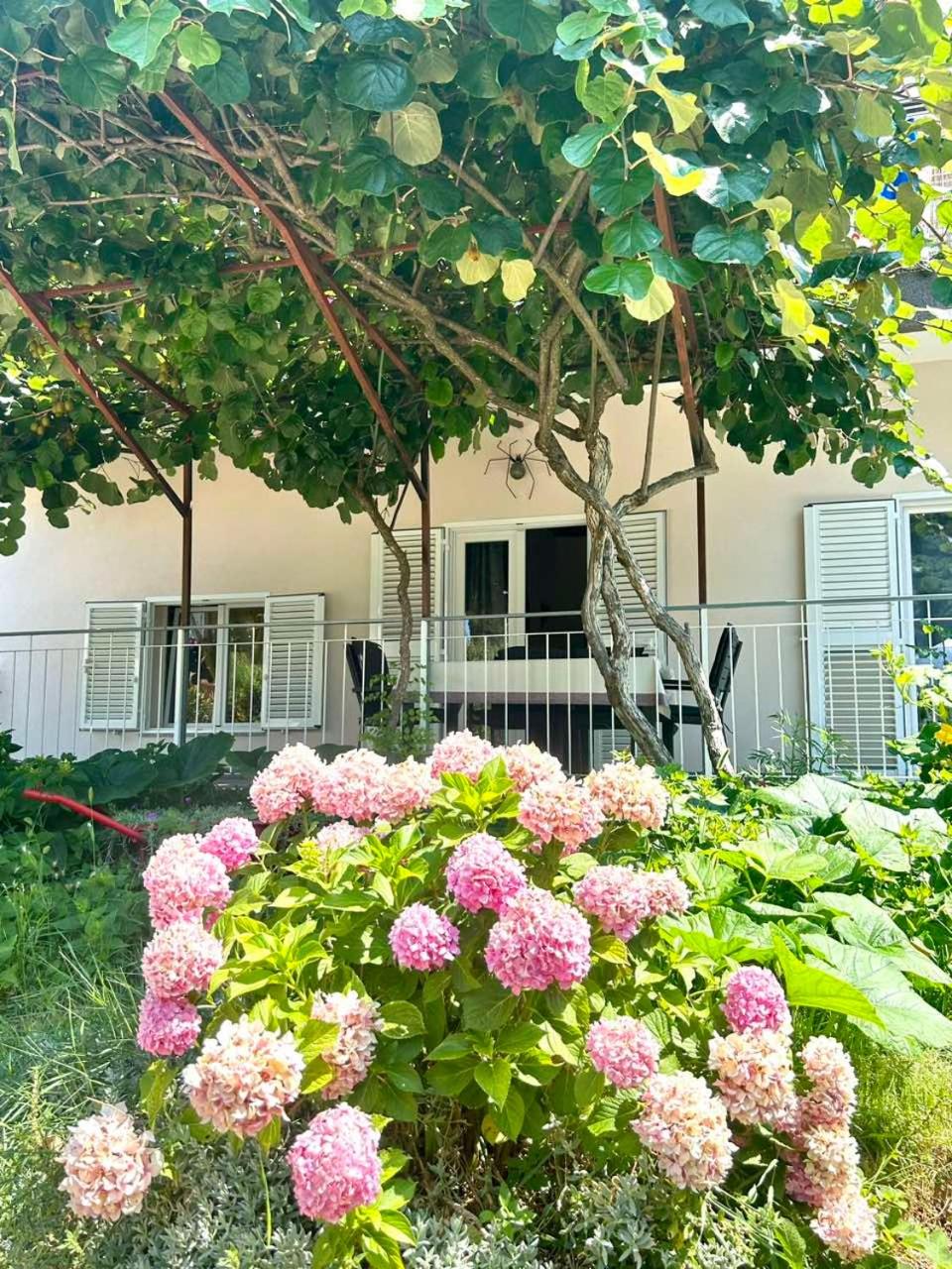 Studio Ugrin with Terrace view 4
