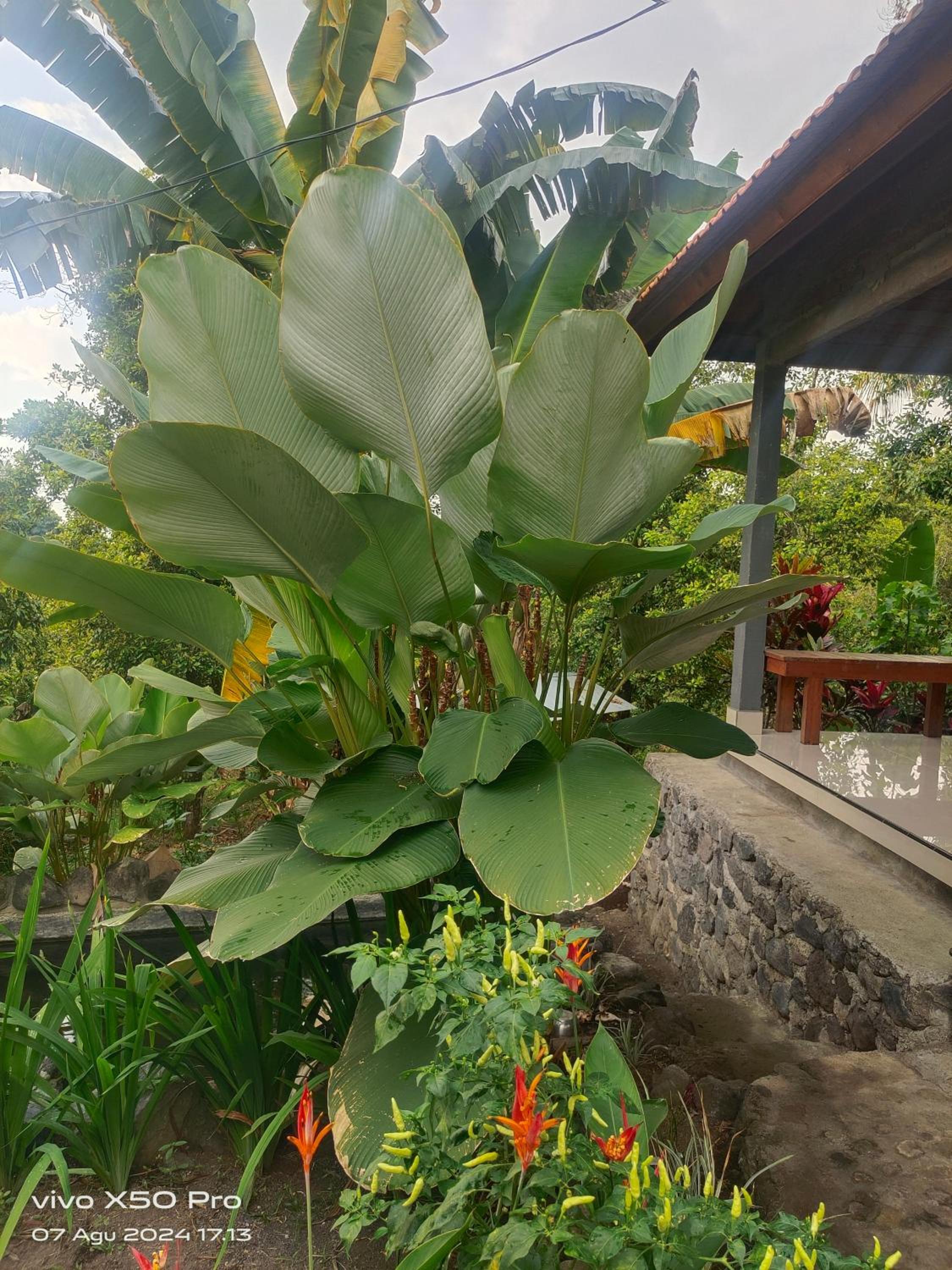 other