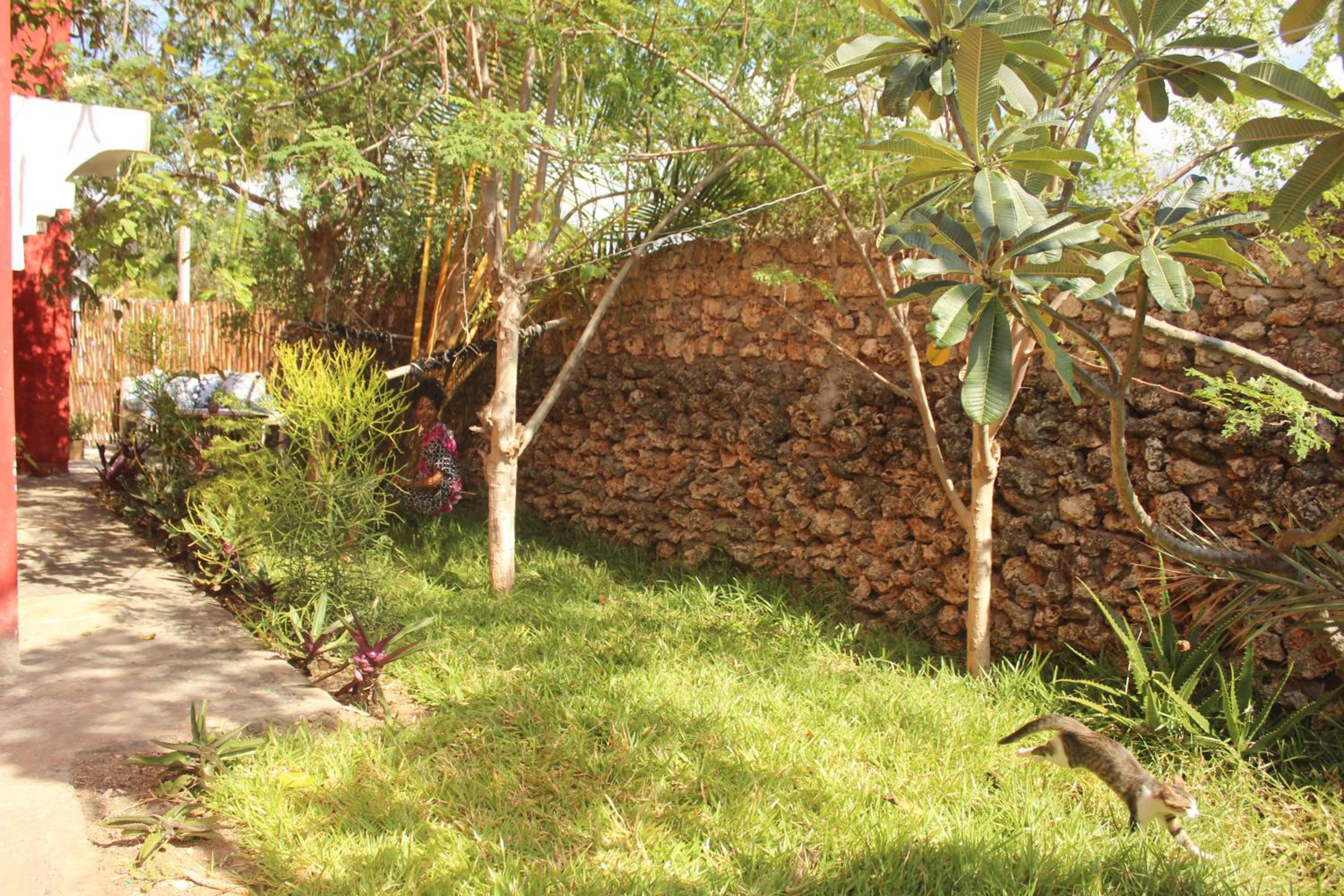 Manasha Watamu