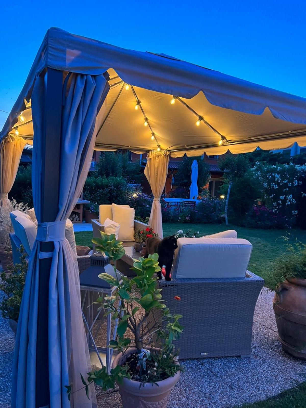 B and B Serenella Country House view 4