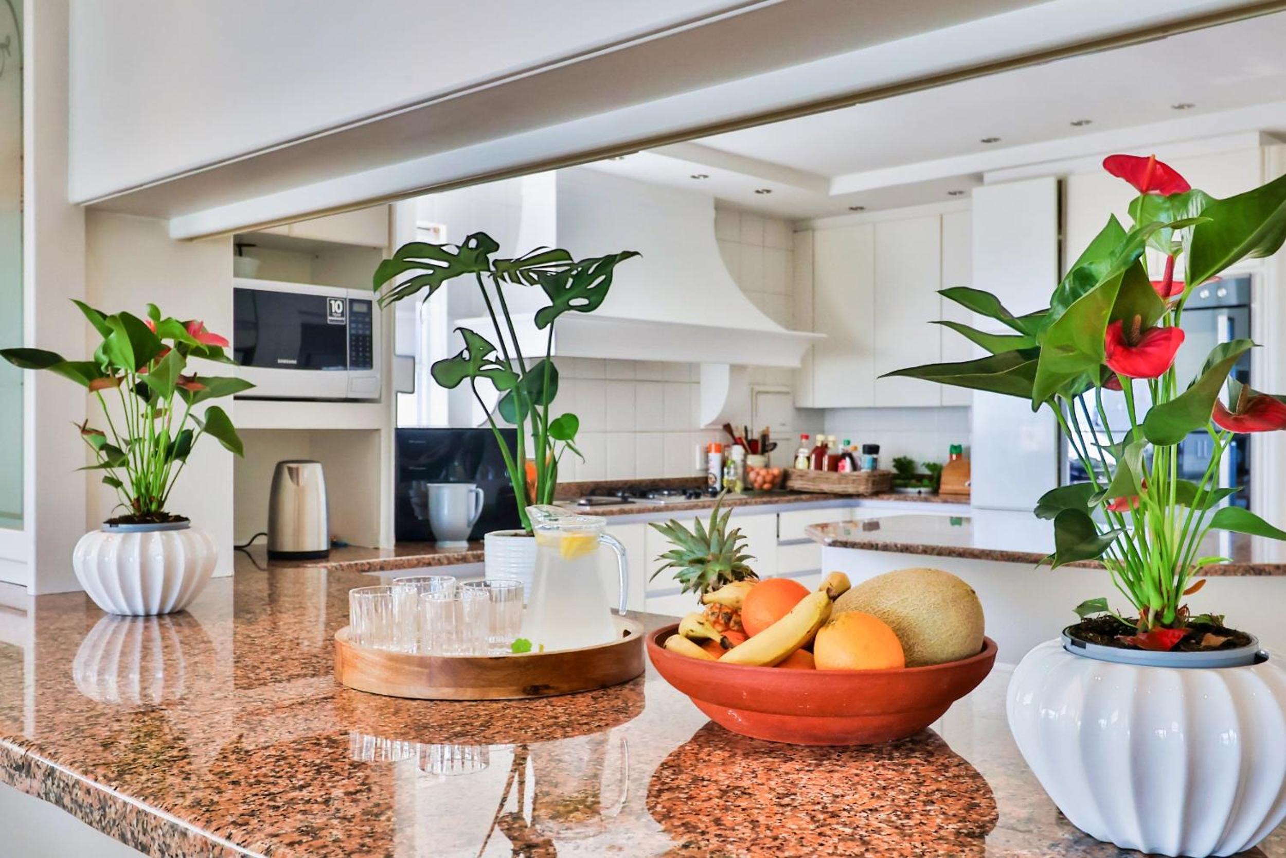 Hermanus Beachfront Lodge
