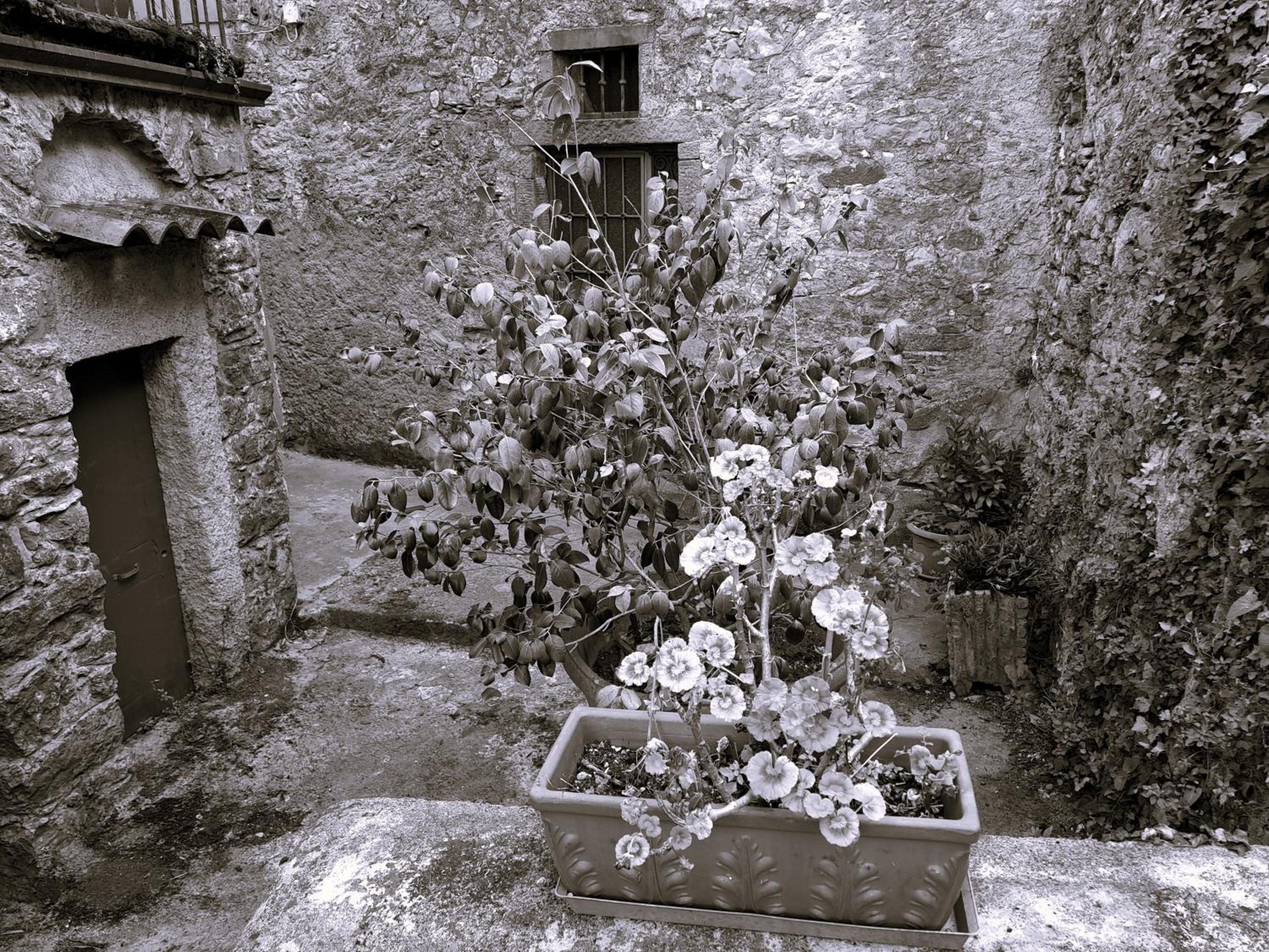 Casa di Marco