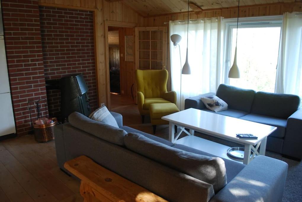 Flott hytte på Hovden view 2