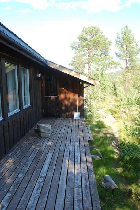 Photo 7