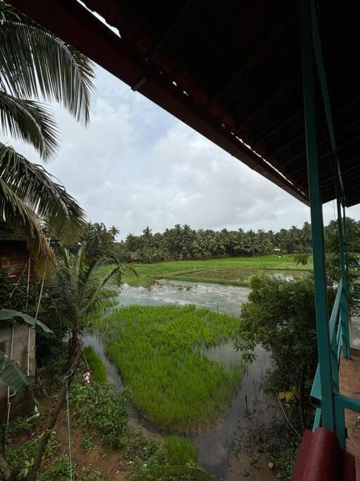 Boho Coral Gokarna - II view 4