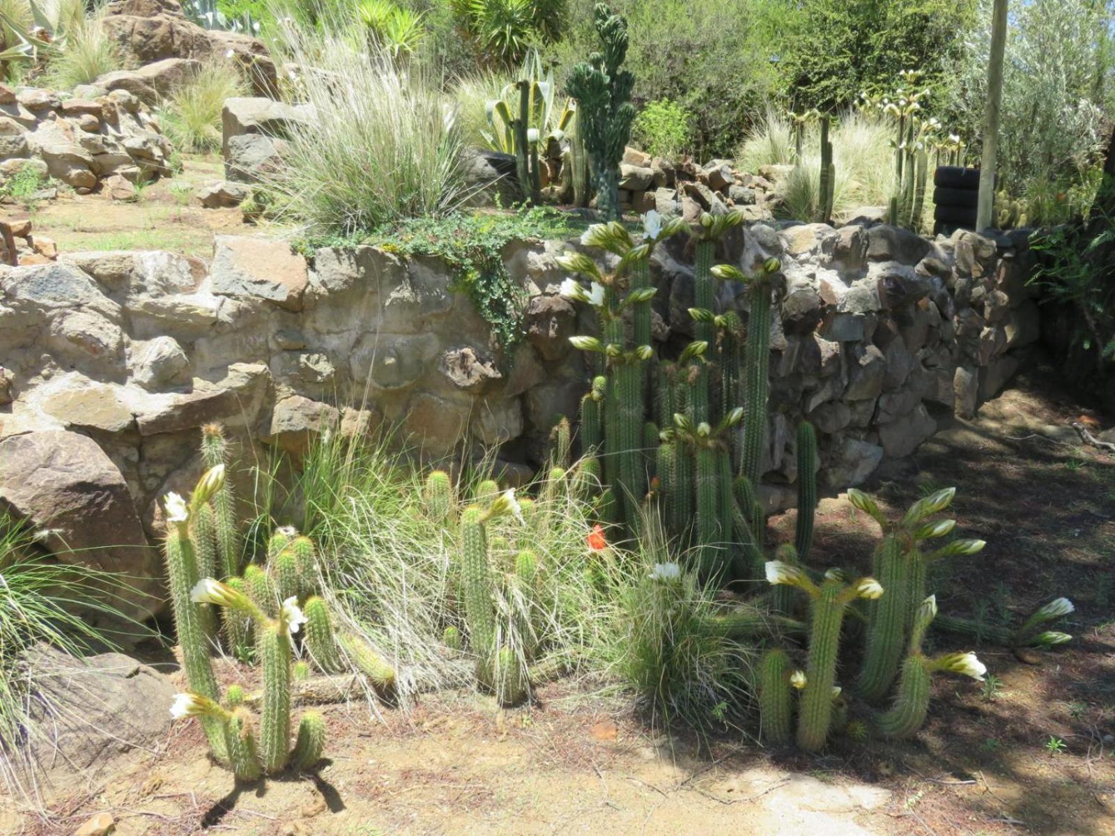 Cobblestone Court