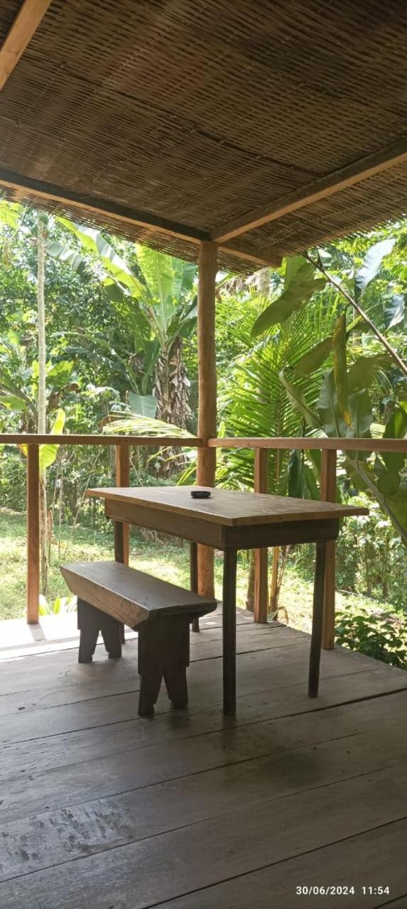 ECO-POR view 5