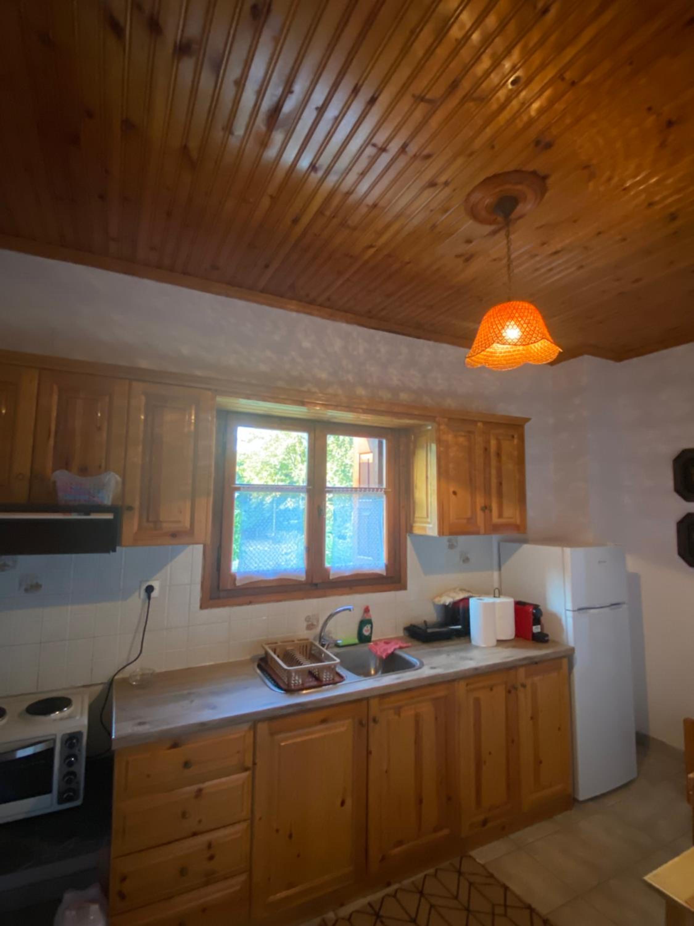 Zirganos Horton Pelion Apartment 2 view 4