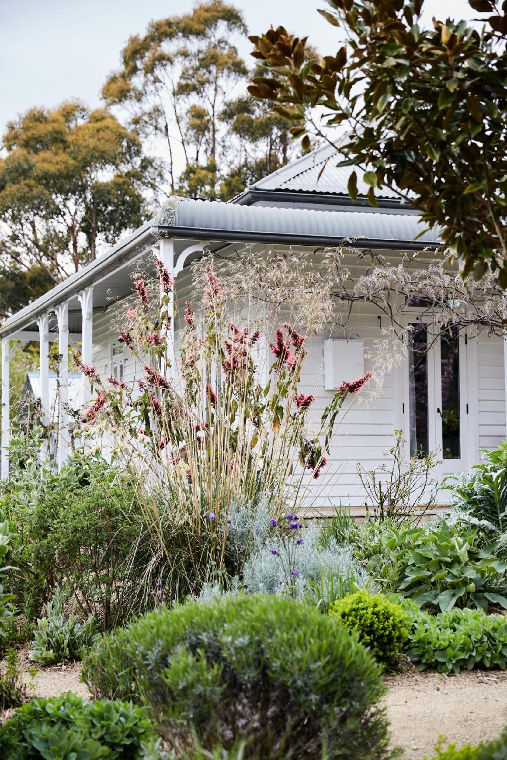 Little Oak - Place to Relax and Create Memories