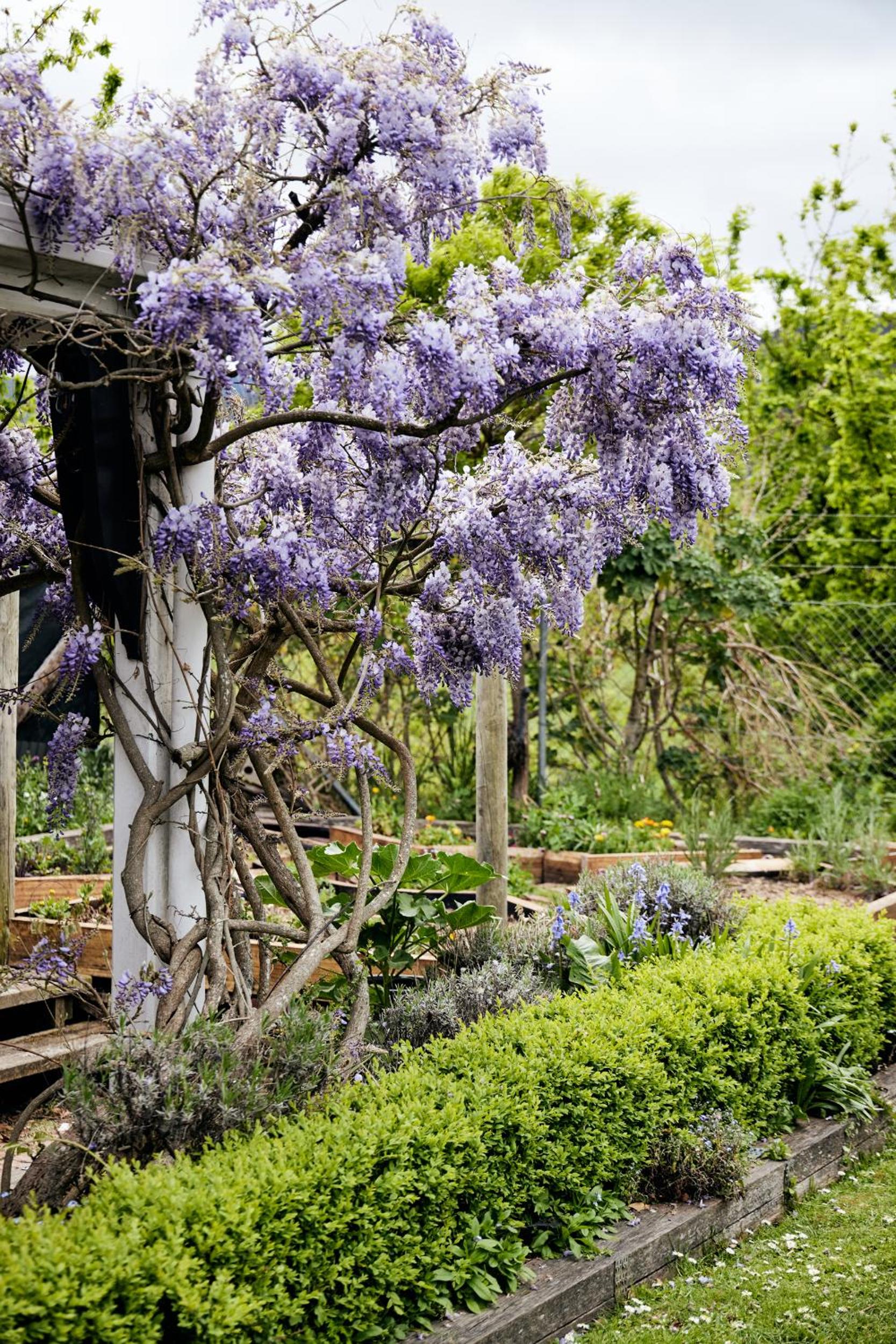 Little Oak - Place to Relax and Create Memories