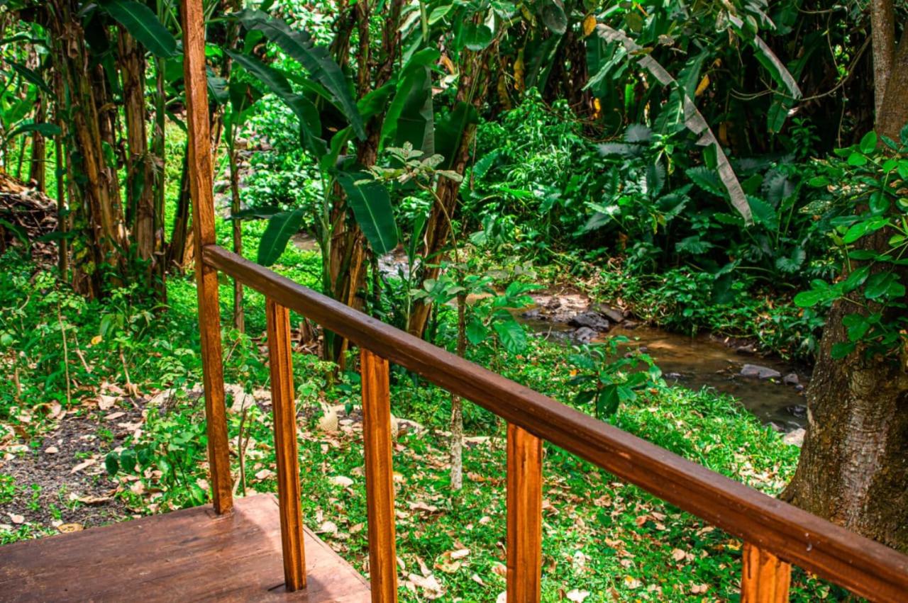 ECO-POR view 3