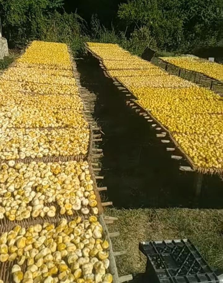 Vojfarm