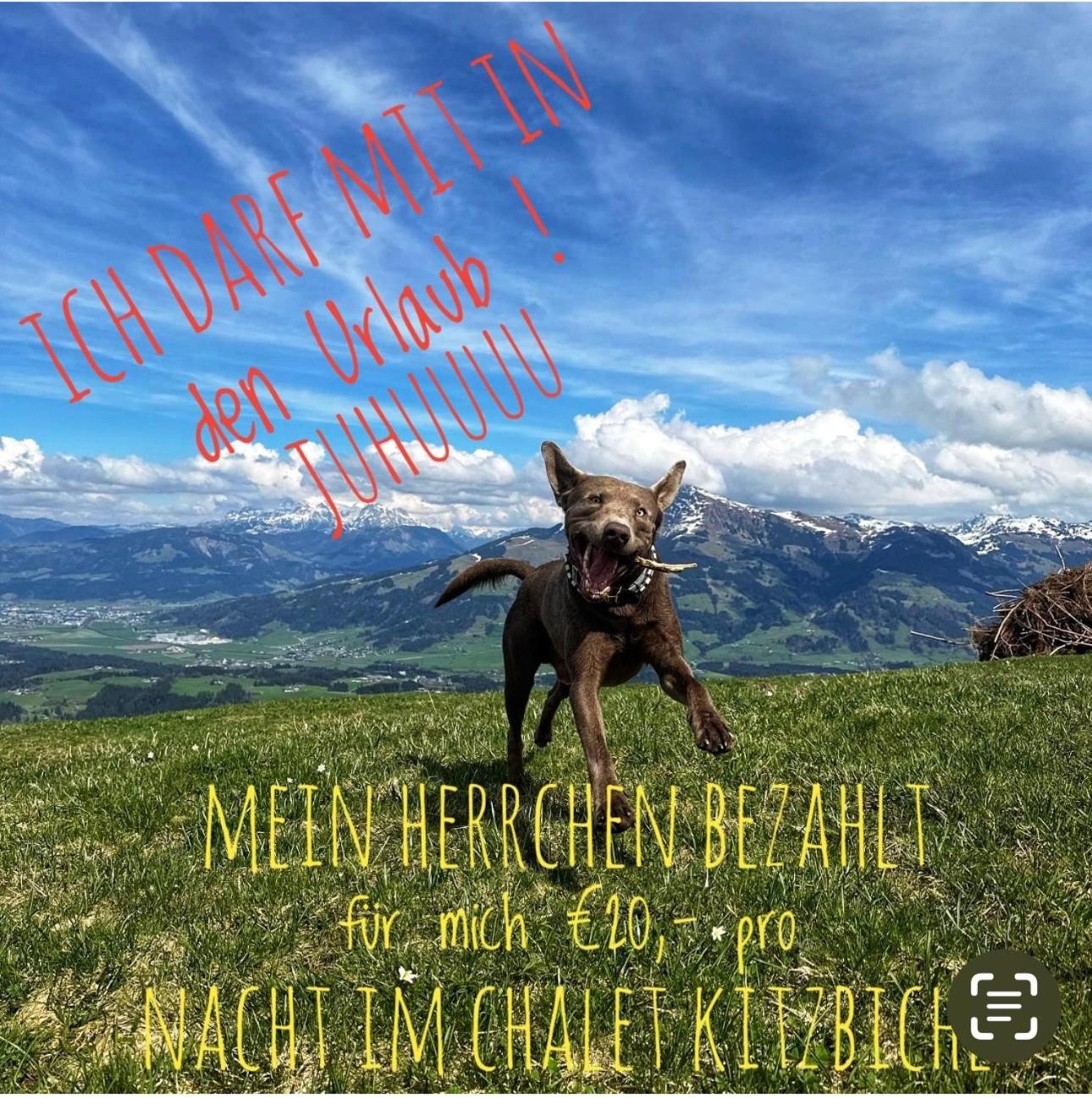 ALPIN CHARME APARTMENTS Boutique Chalet Kitzbichl