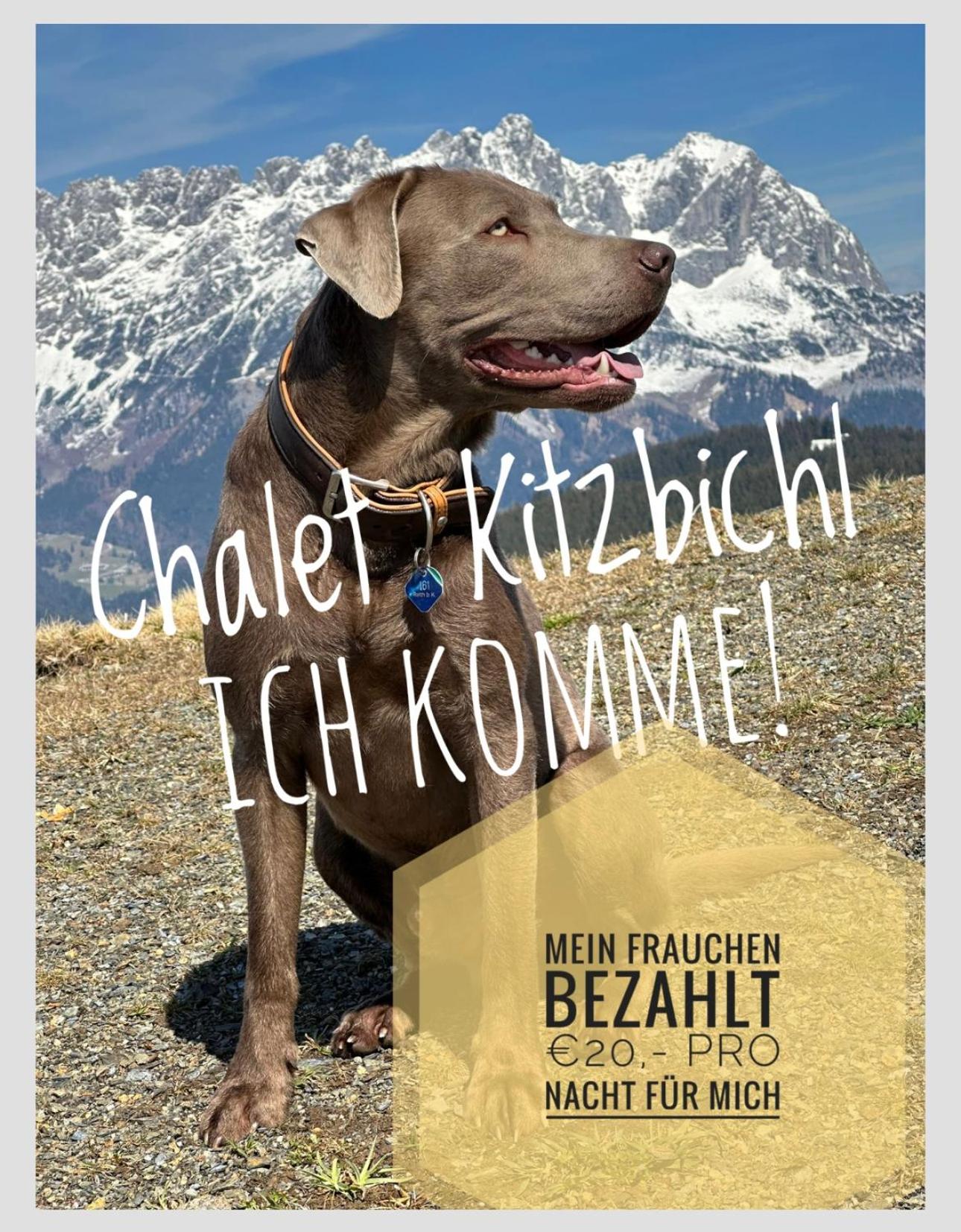 ALPIN CHARME APARTMENTS Boutique Chalet Kitzbichl