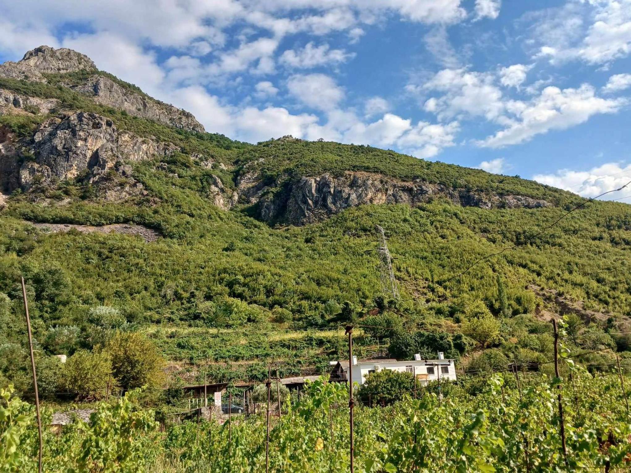 Bujtina Dalmacia