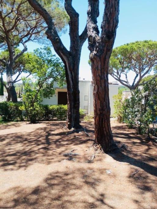 V3 Vilamoura Centro