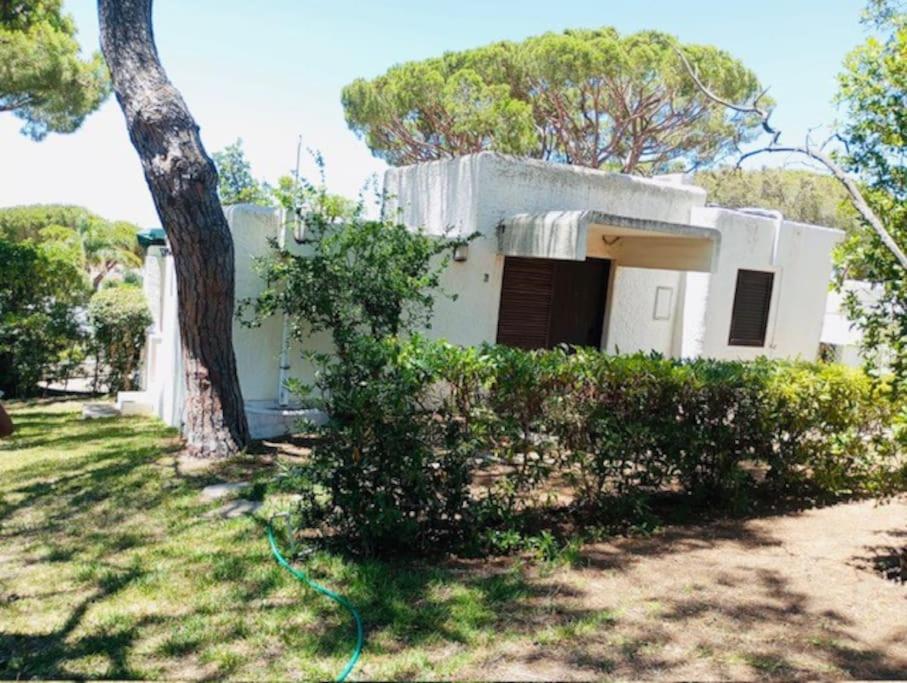 V3 Vilamoura Centro