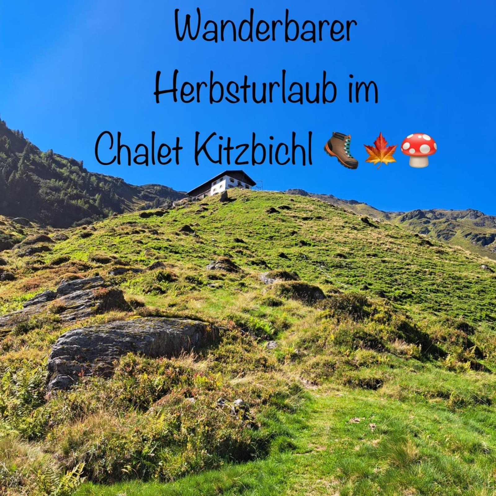 ALPIN CHARME APARTMENTS Boutique Chalet Kitzbichl