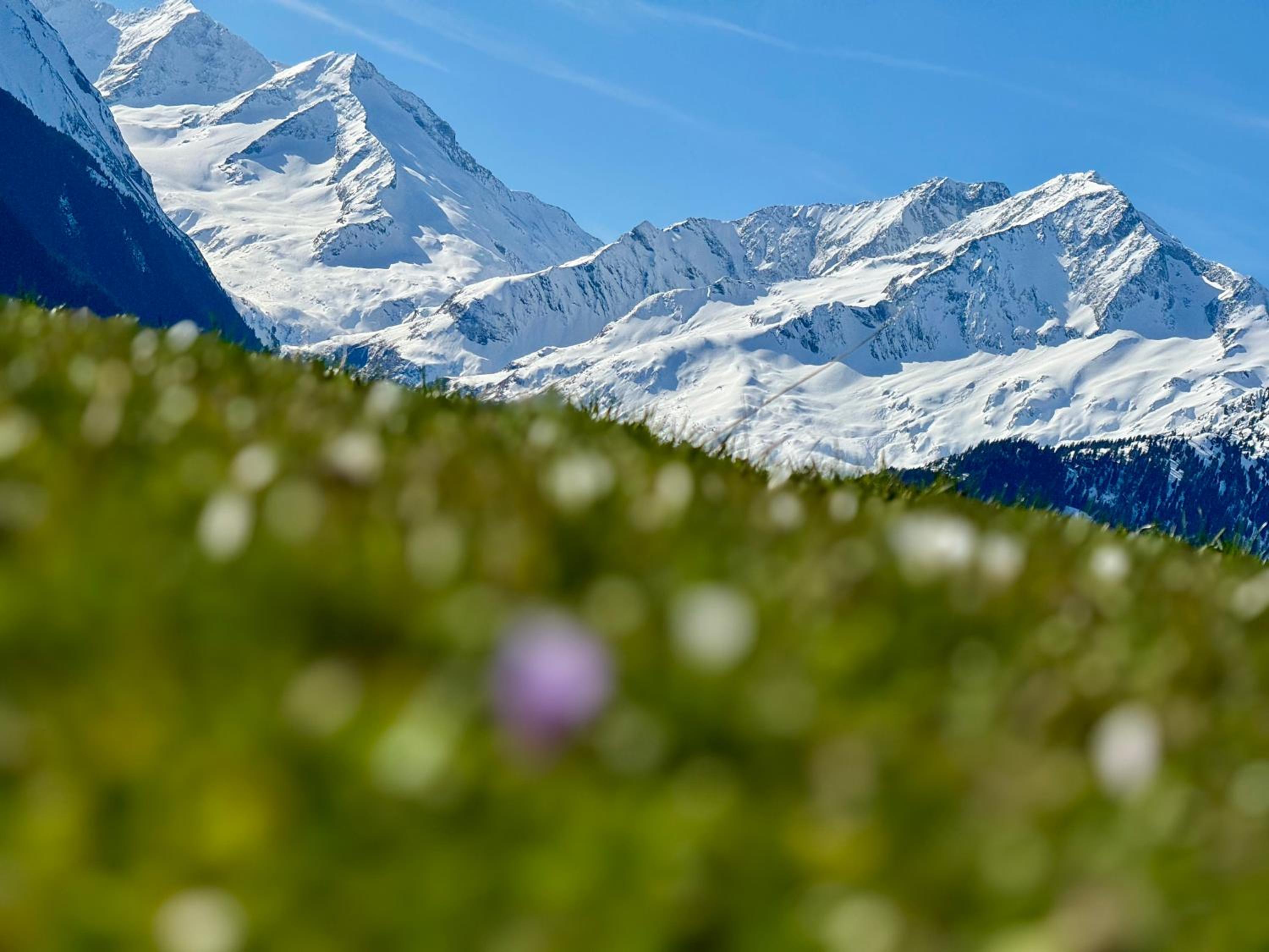 ALPIN CHARME APARTMENTS Boutique Chalet Kitzbichl