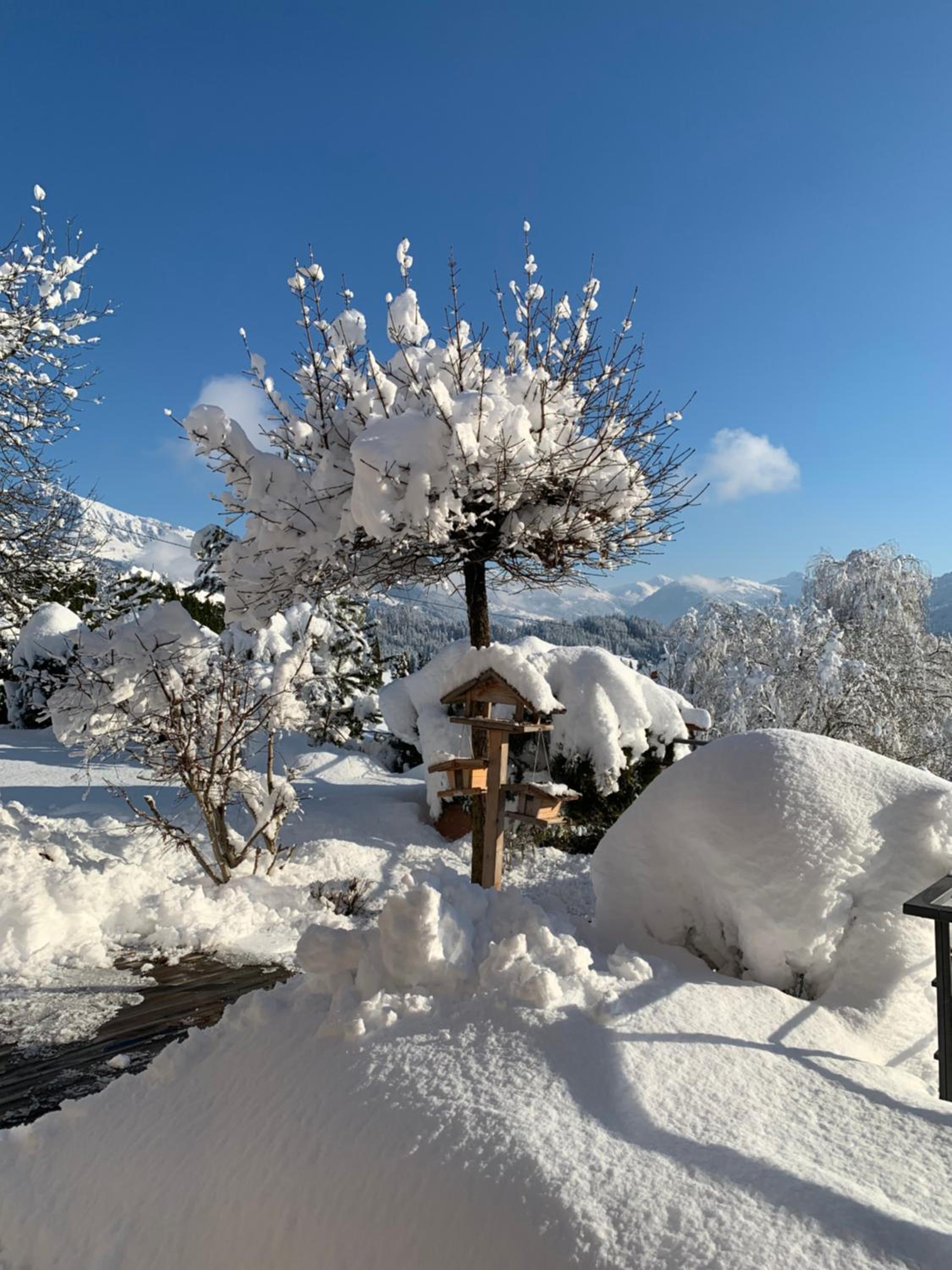 ALPIN CHARME APARTMENTS Boutique Chalet Kitzbichl
