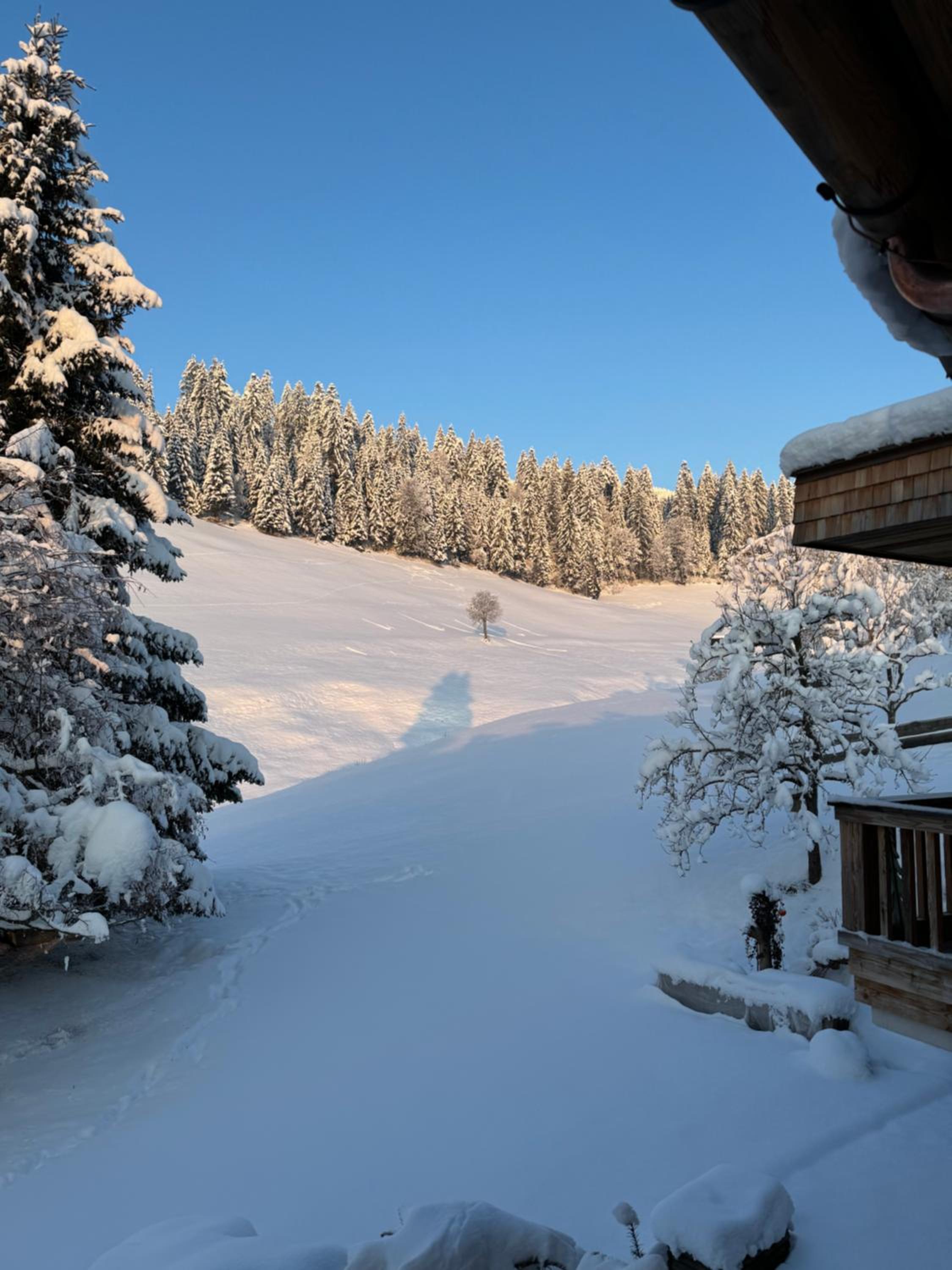 ALPIN CHARME APARTMENTS Boutique Chalet Kitzbichl