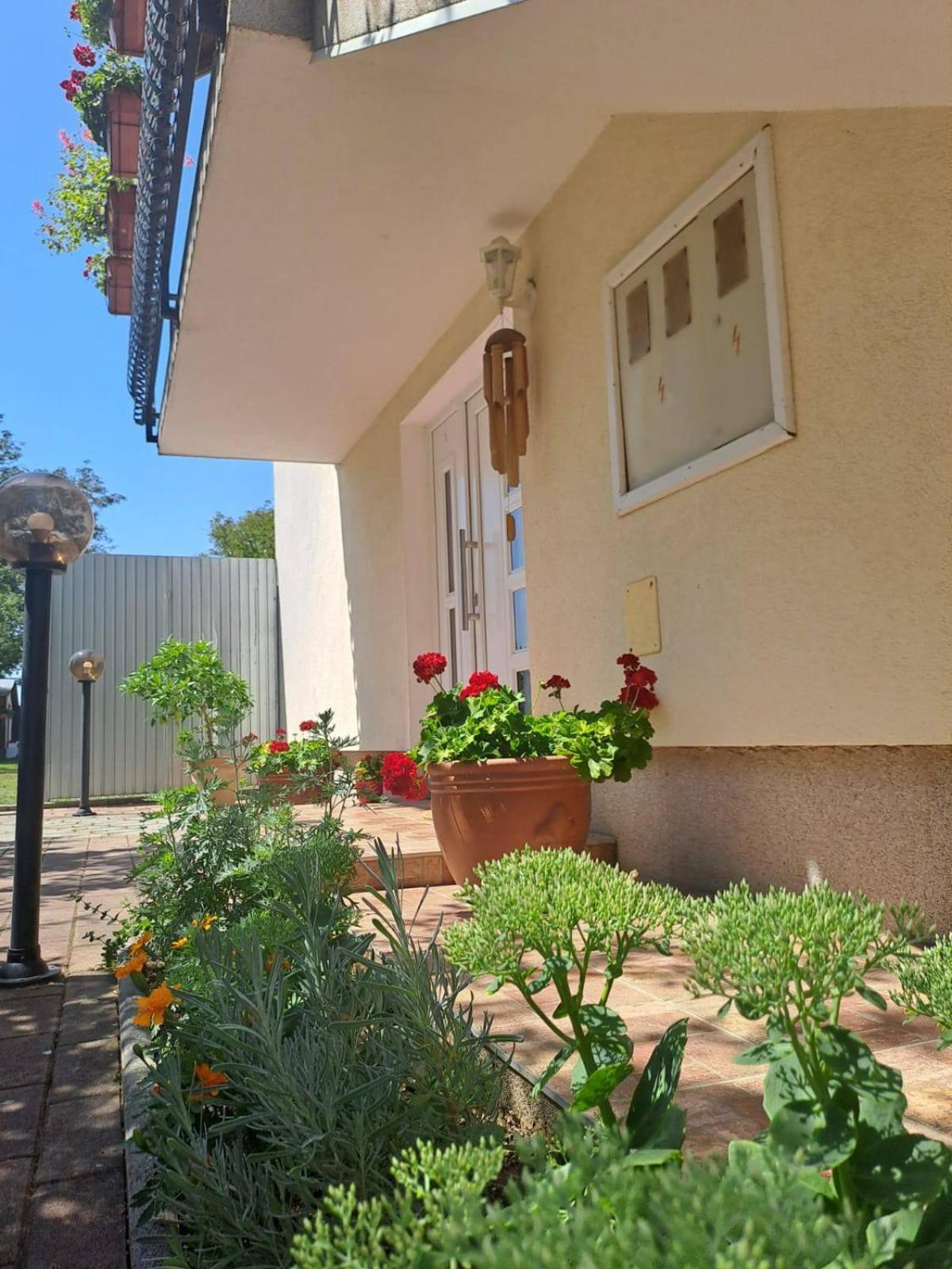 Kuća za odmor Holiday house AKORD, Marindvor view 3