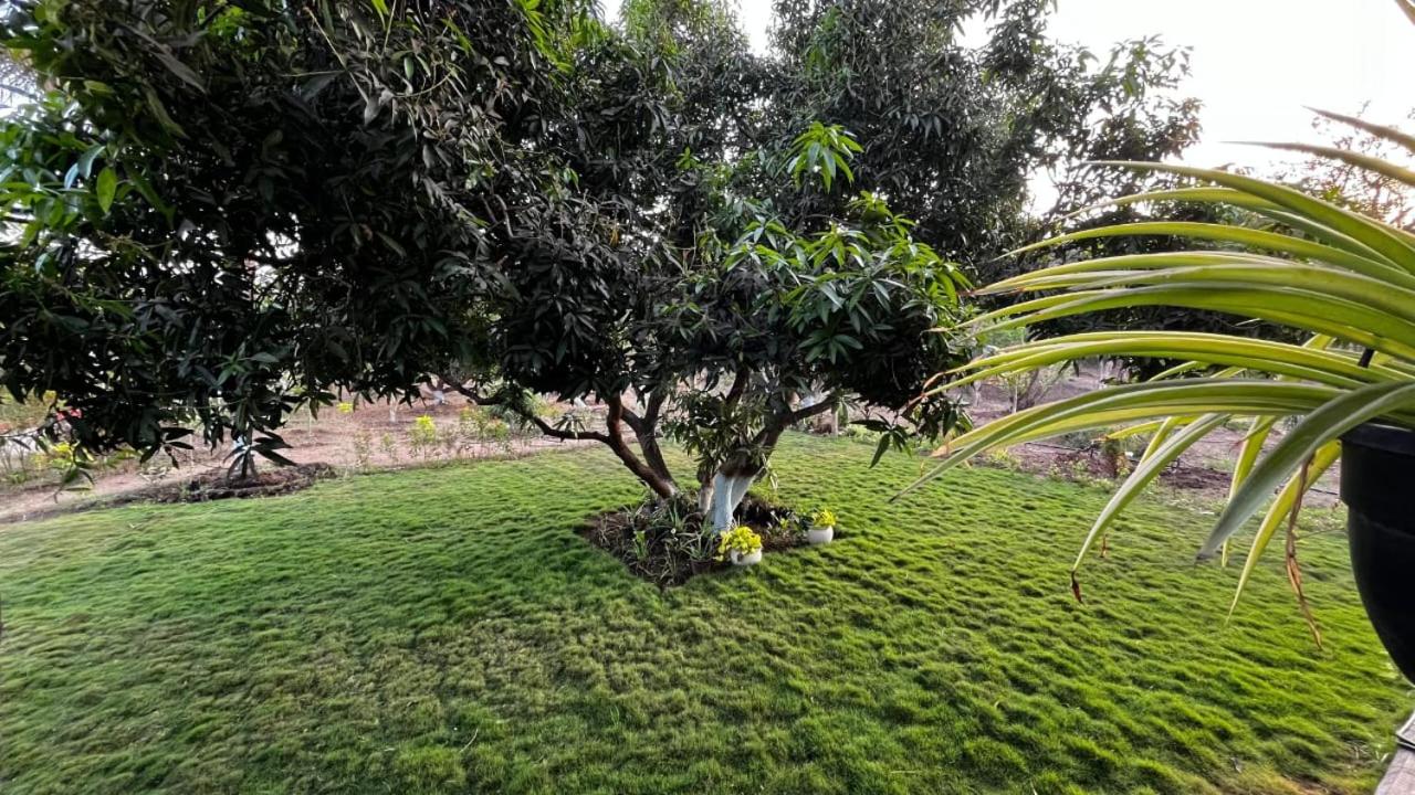The Beauty Mansion Villa view 5