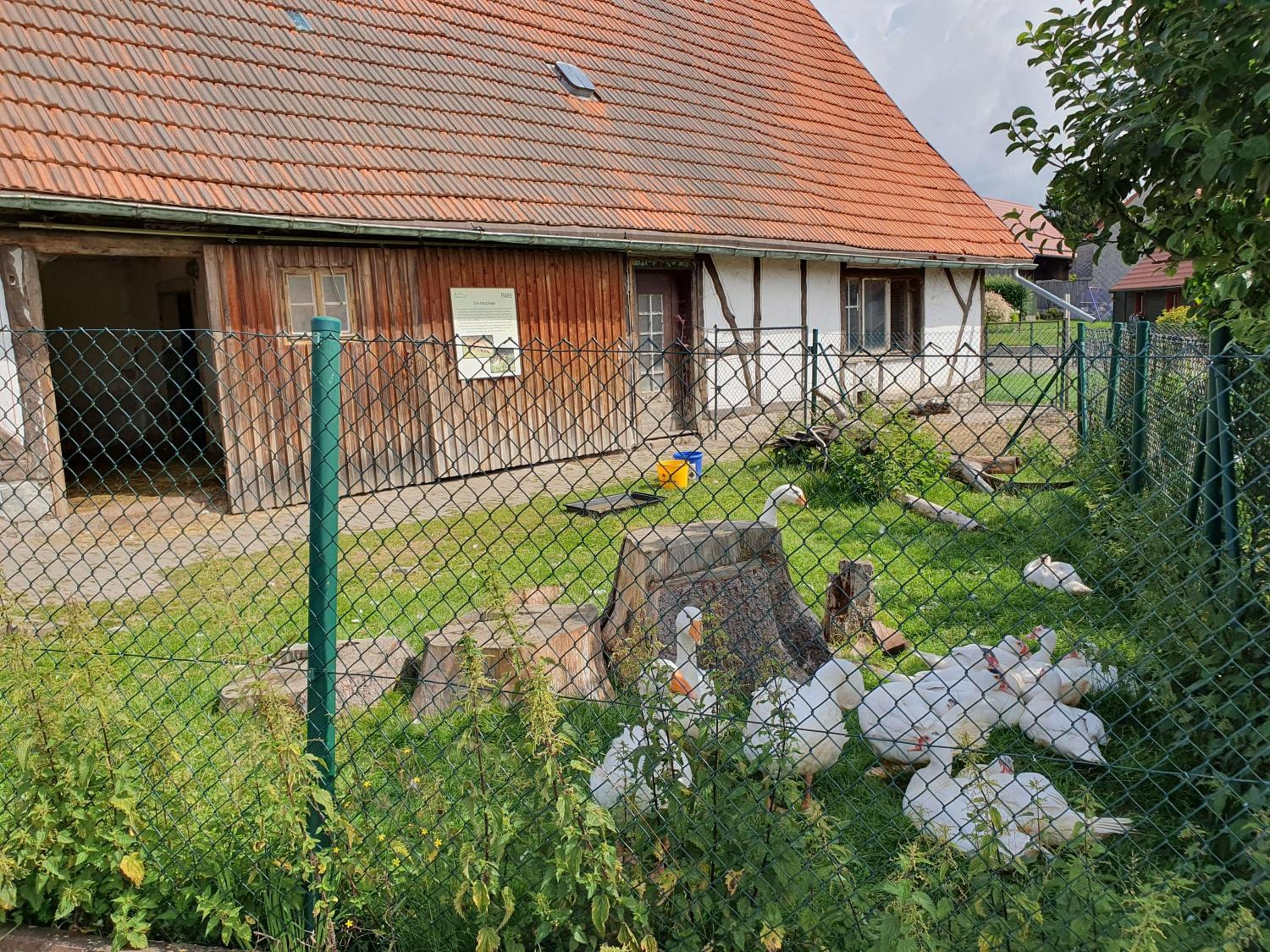 Ferienhaus Brockenbauer