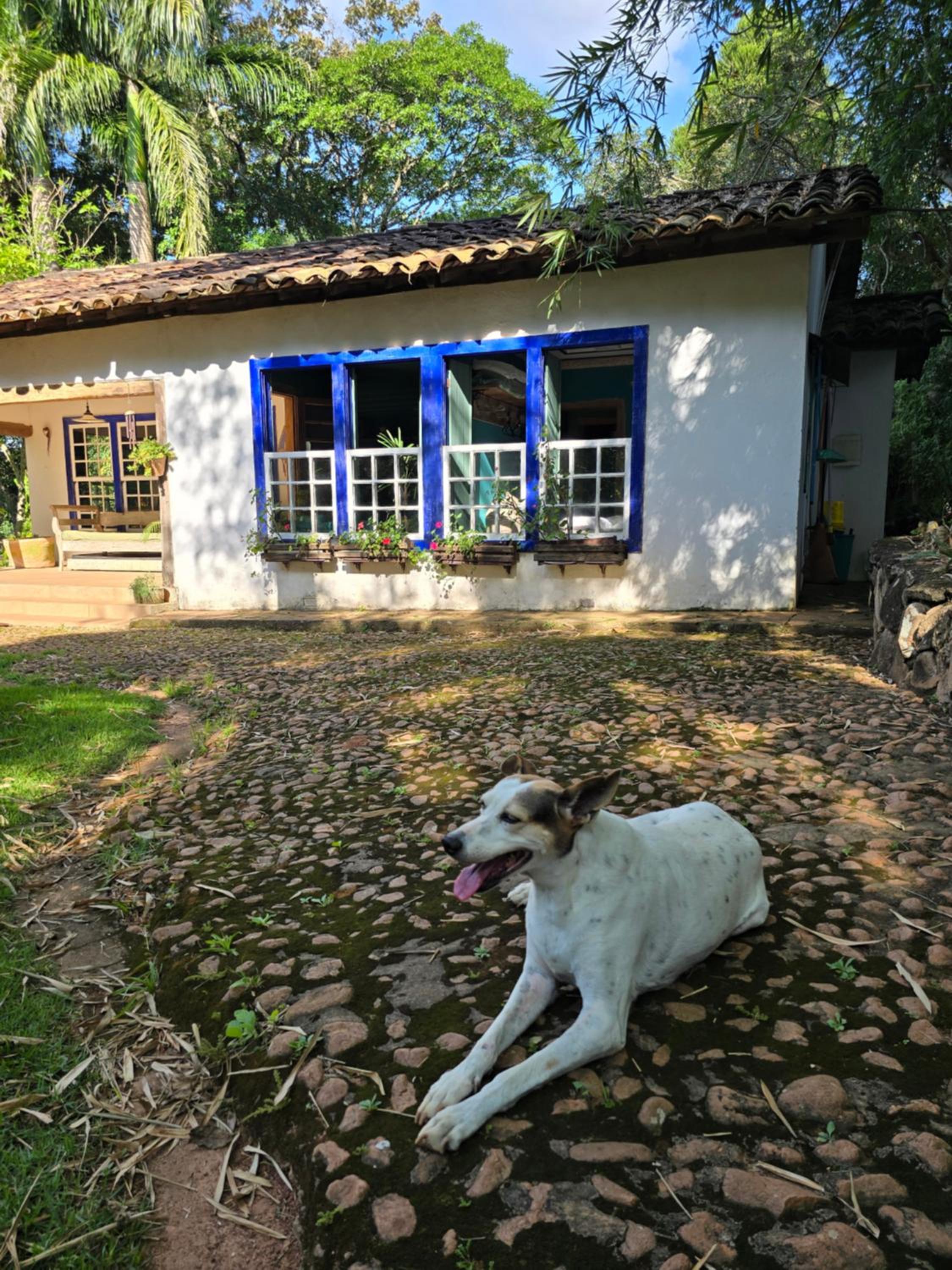 Casa Verde-Casa de Temporada no Bichinho