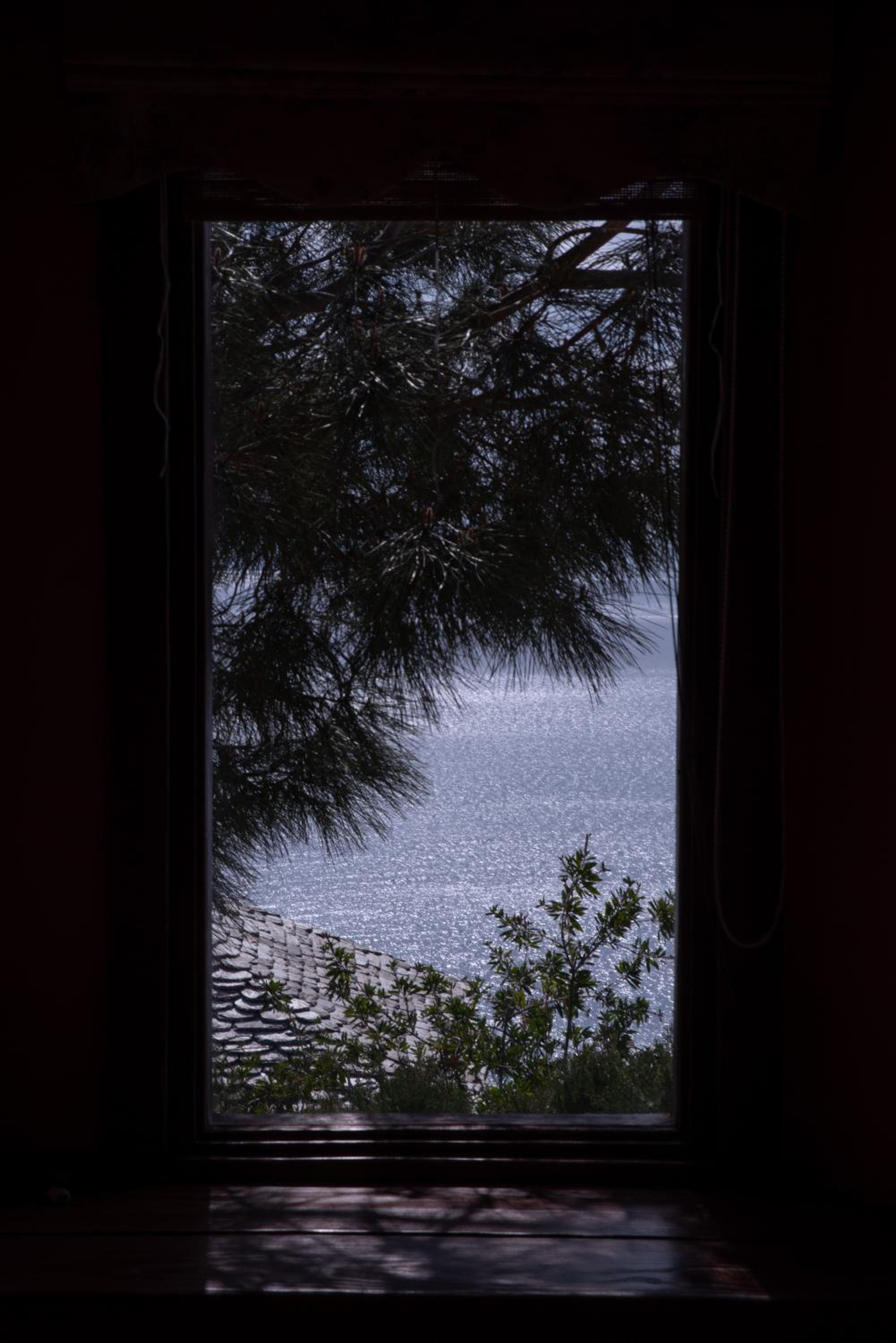 Photo 100