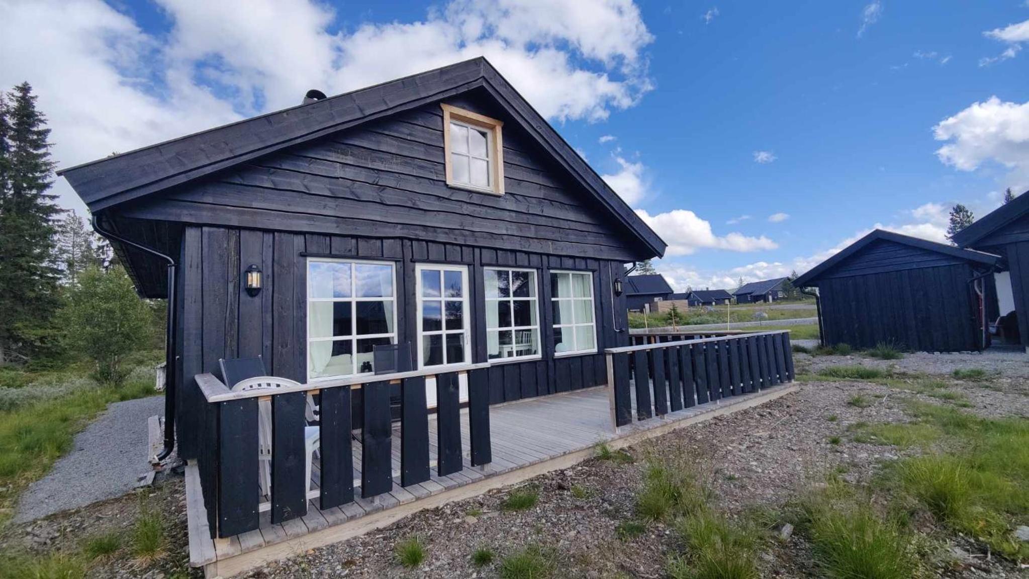 Bjørkefinken by Norgesbooking - cabin for hiking and skiing view 2