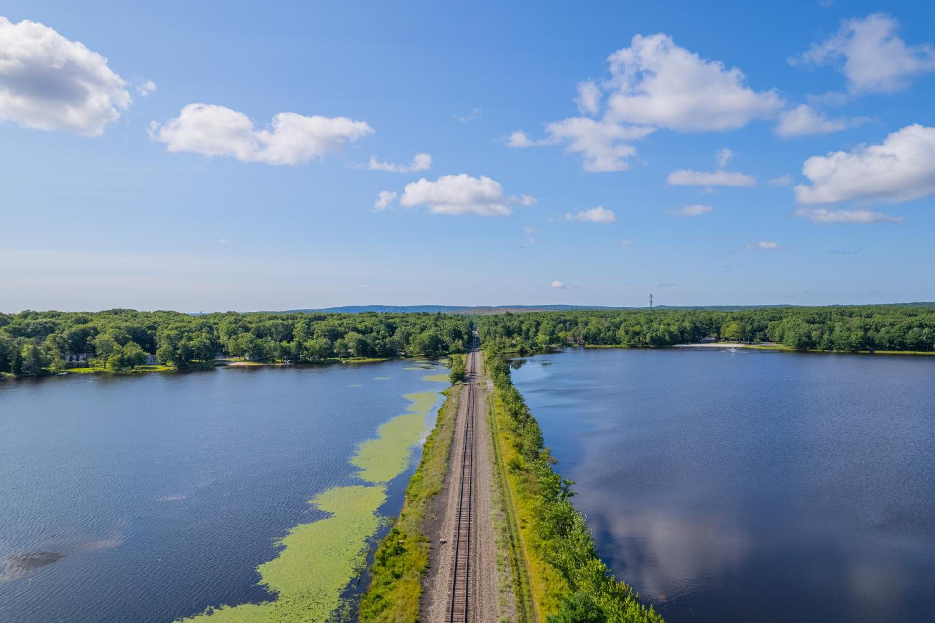 Photo 51